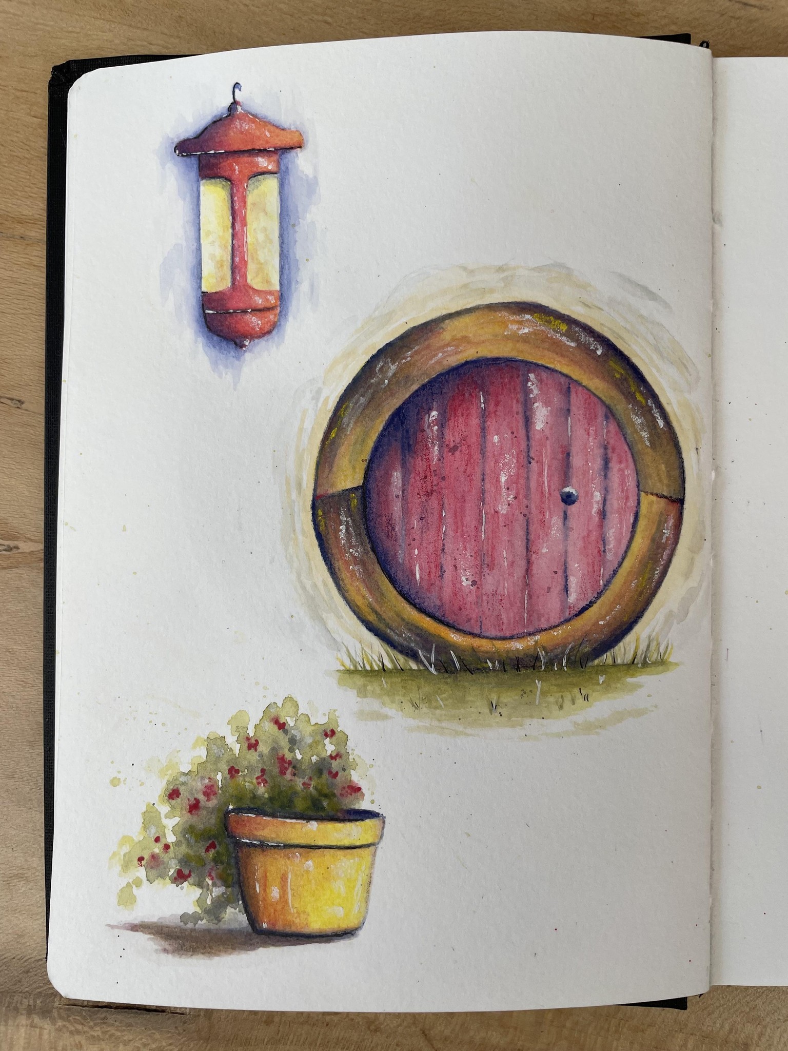 Watercolour pencil techniques - image 1 - student project