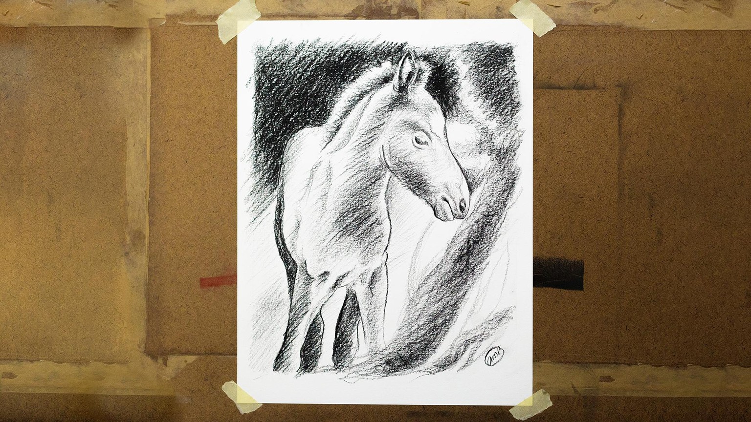 My Project - Foal - image 6 - student project
