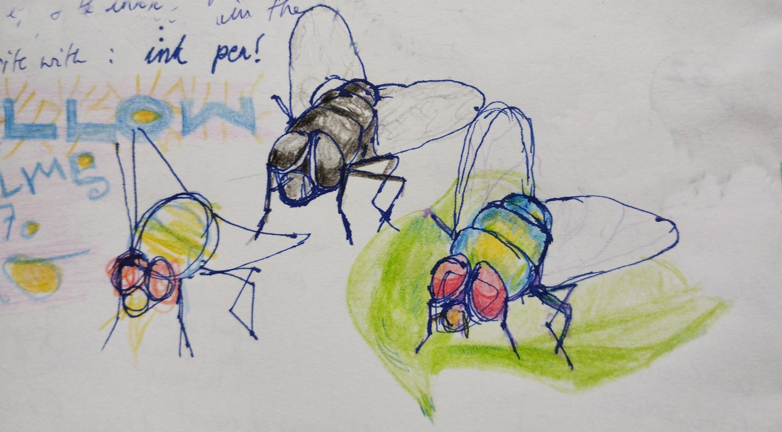 Cleaning up flies! - image 1 - student project