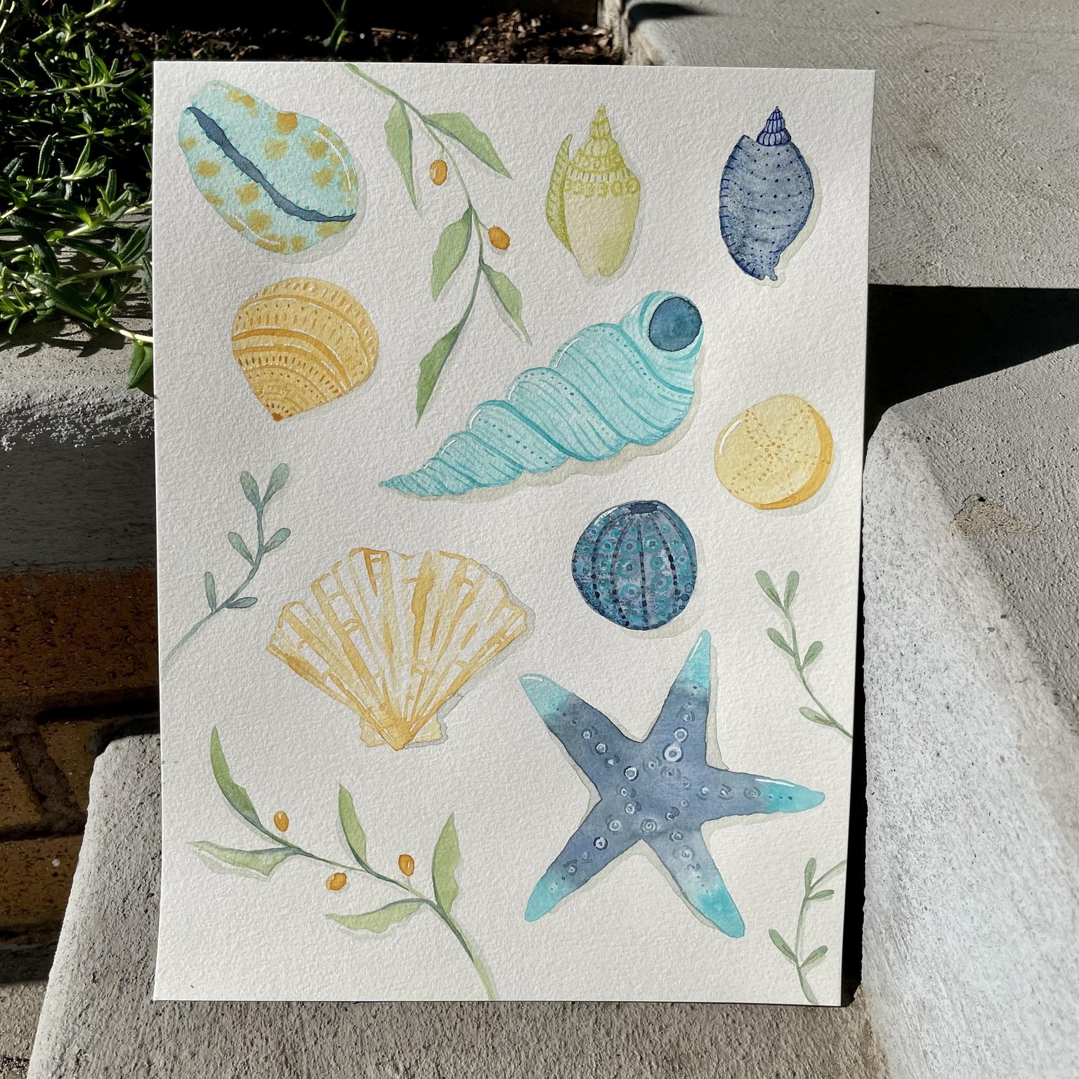Watercolor seashells - image 1 - student project