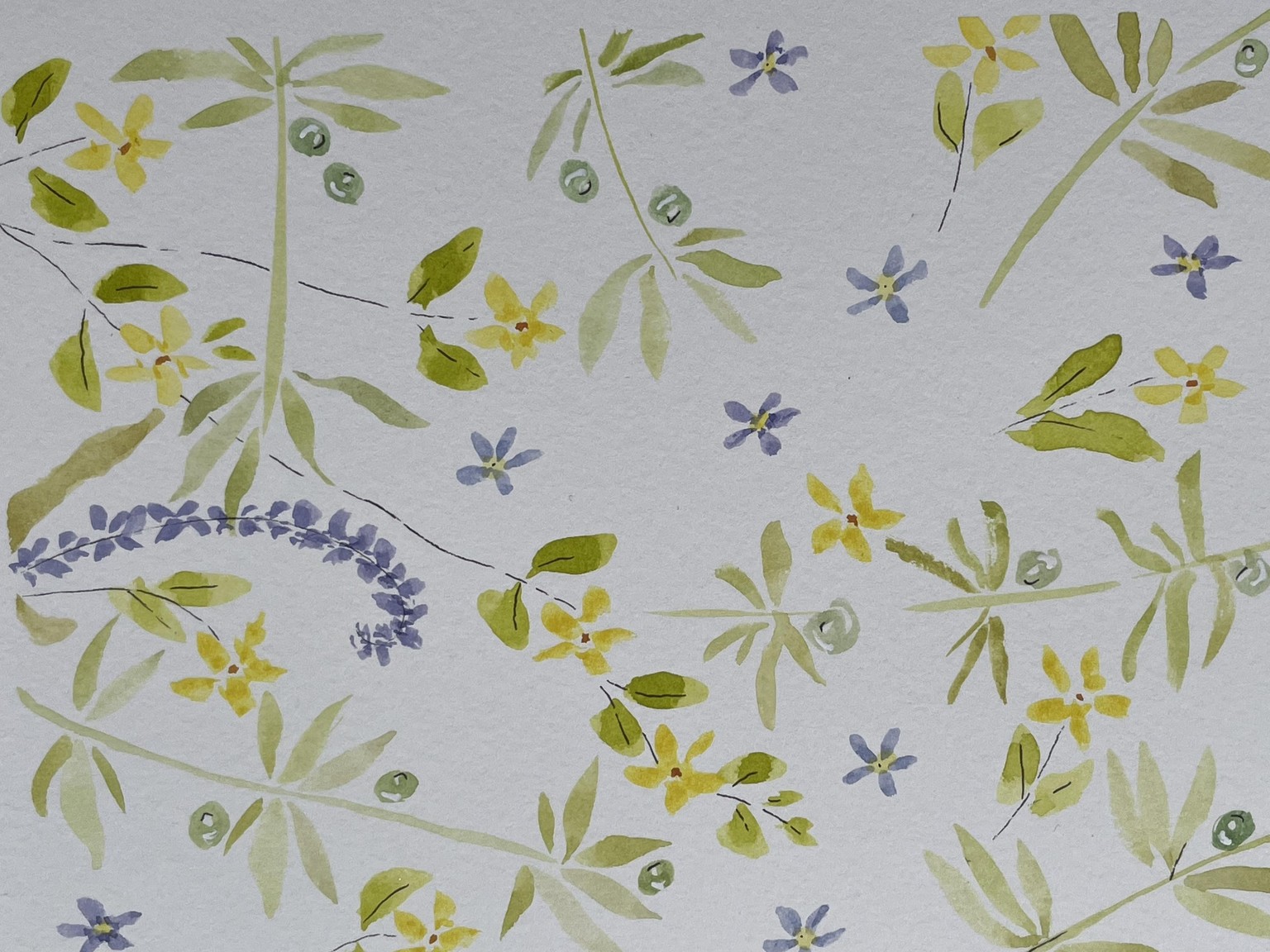 Watercolor Scottish Wildflowers - image 4 - student project