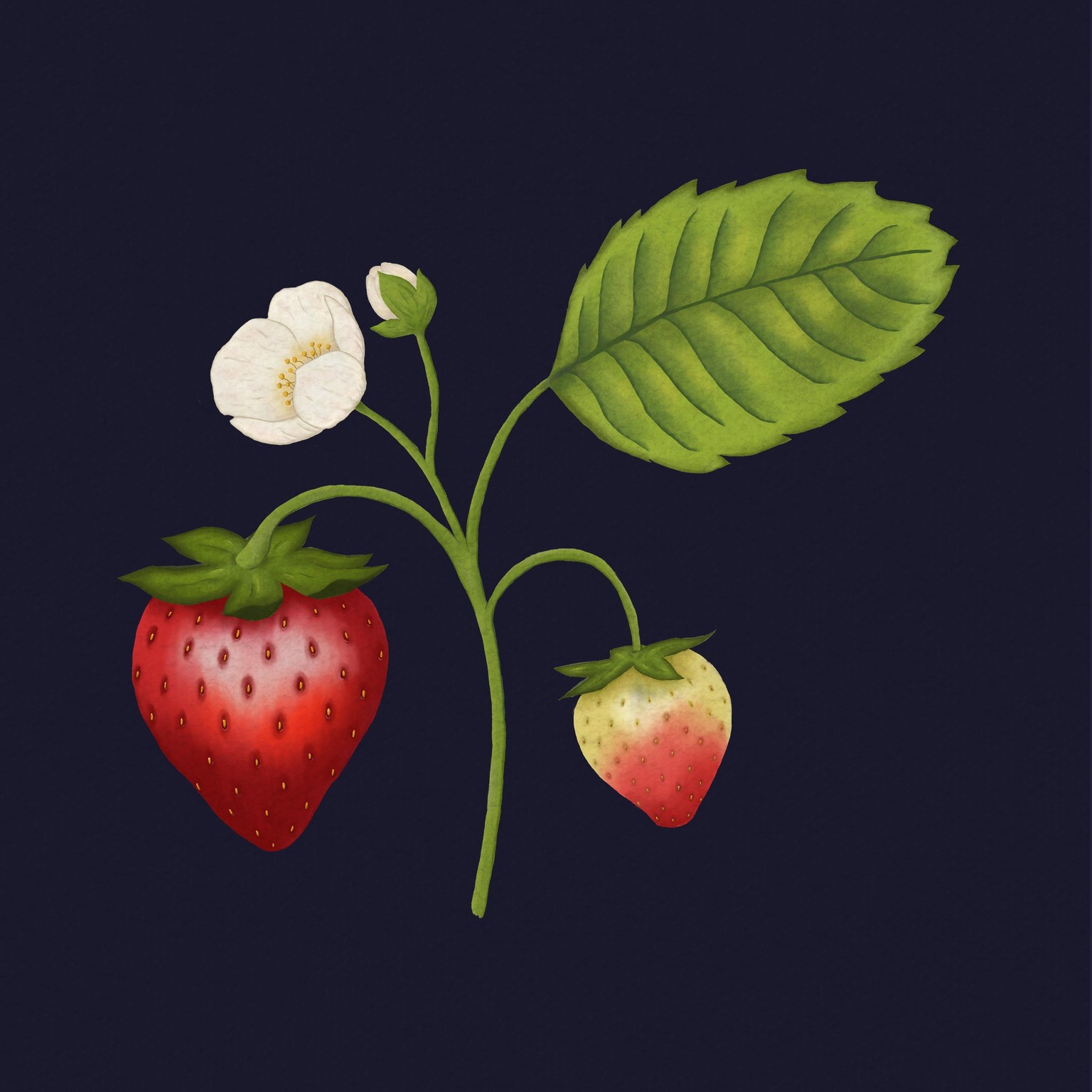 Watercolors in Procreate - image 3 - student project