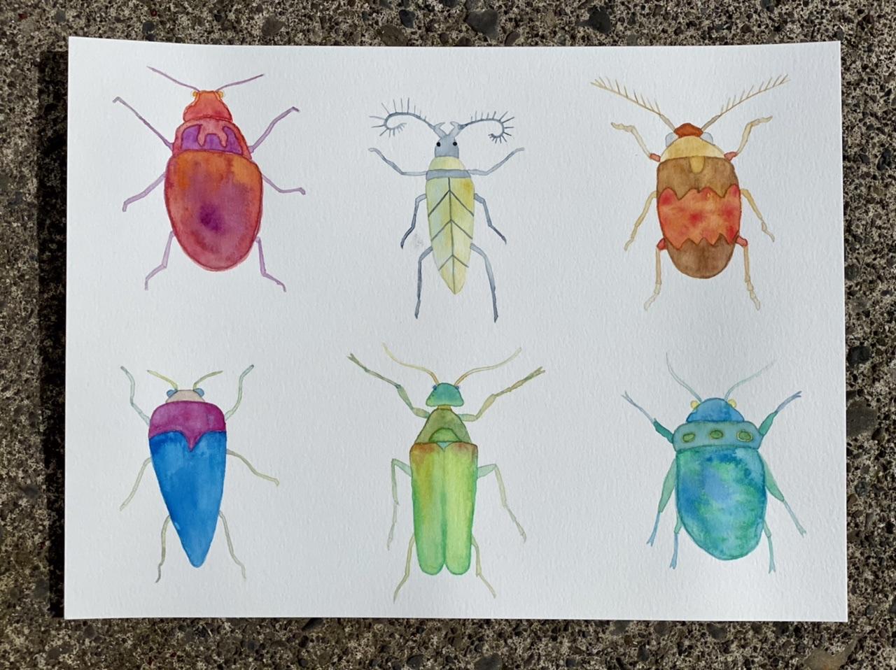 Watercolor flowers and beetles - image 3 - student project