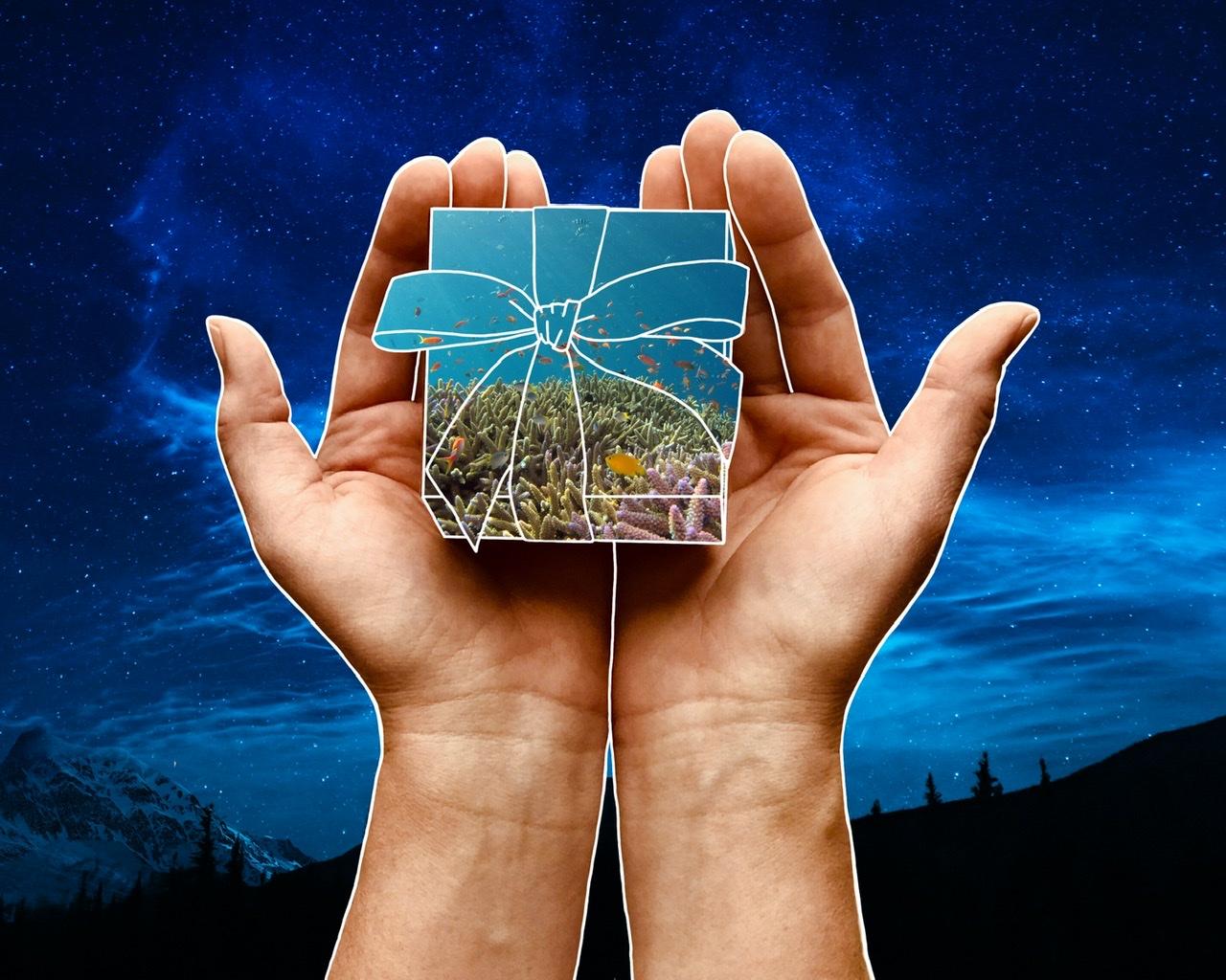 Drawing on photos ~ - image 2 - student project