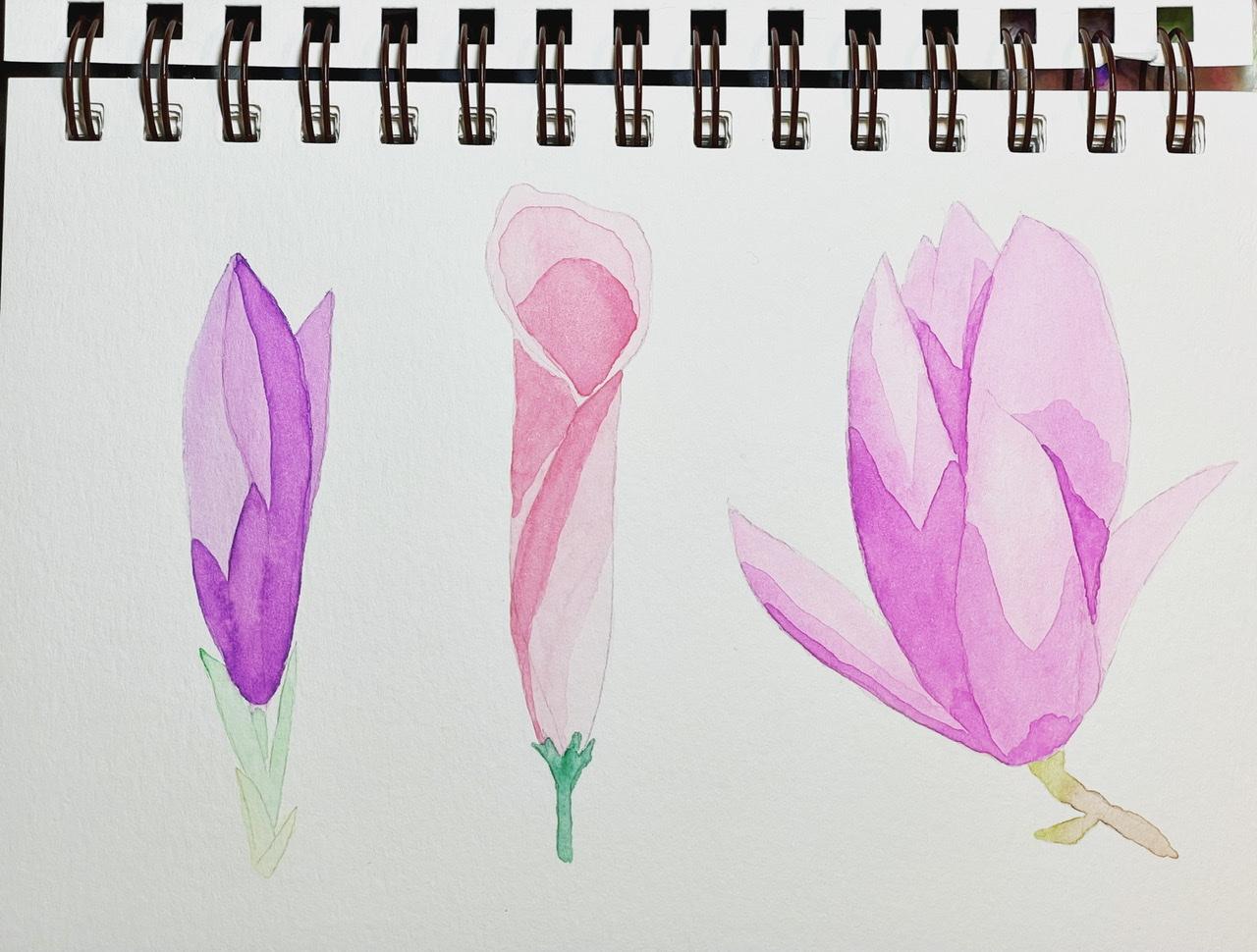 Flowers with depth - image 5 - student project