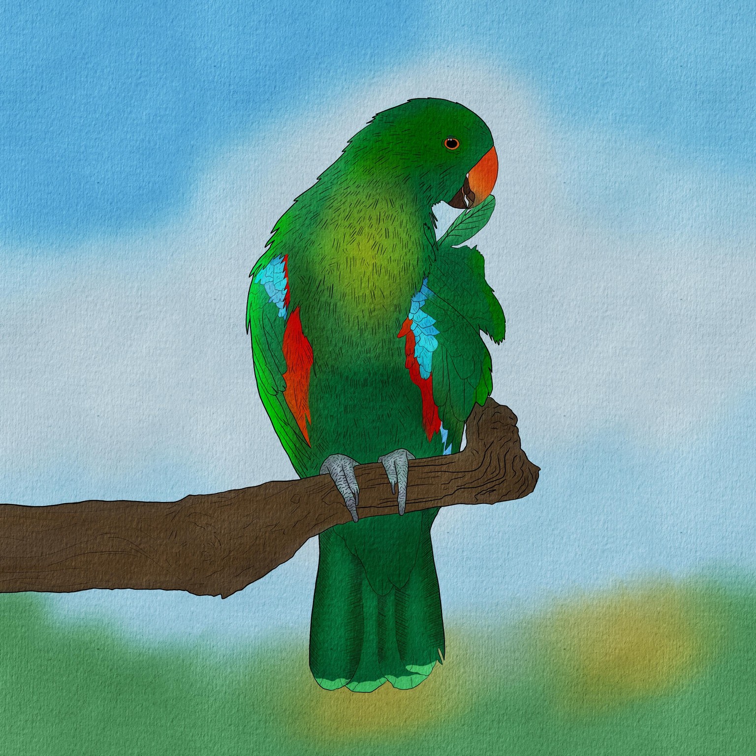 Birds of Paradise - image 2 - student project