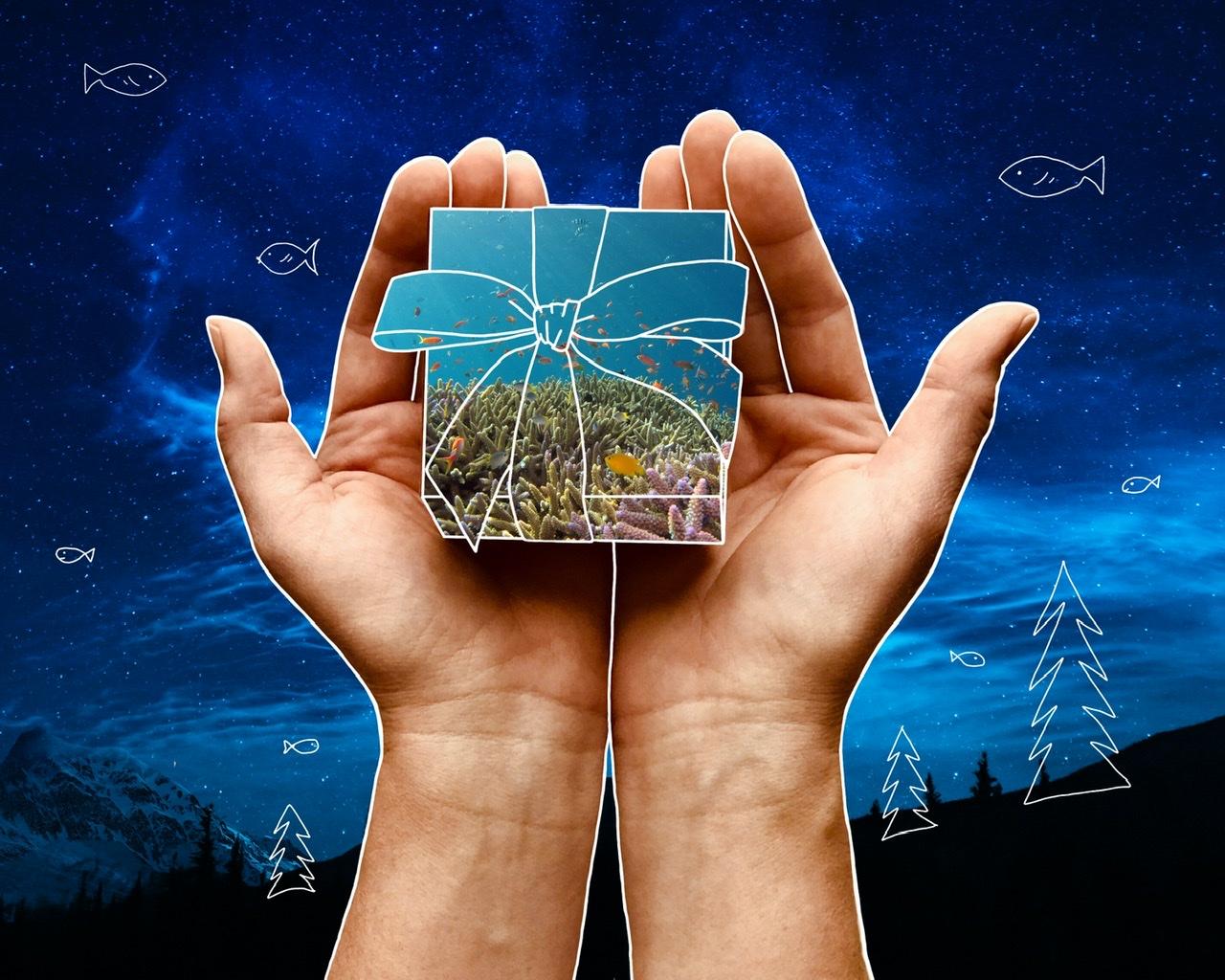 Drawing on photos ~ - image 3 - student project