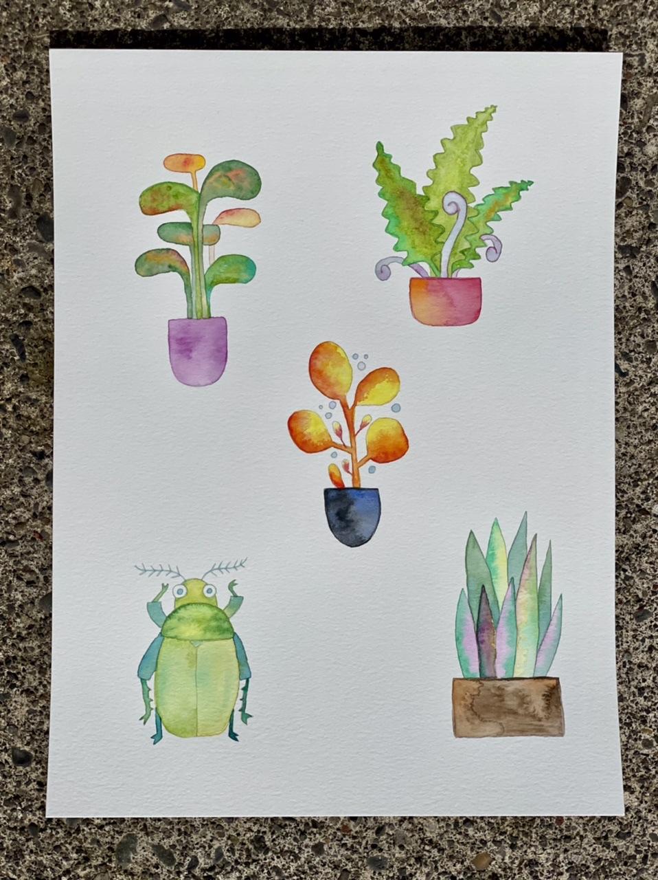 Watercolor flowers and beetles - image 2 - student project