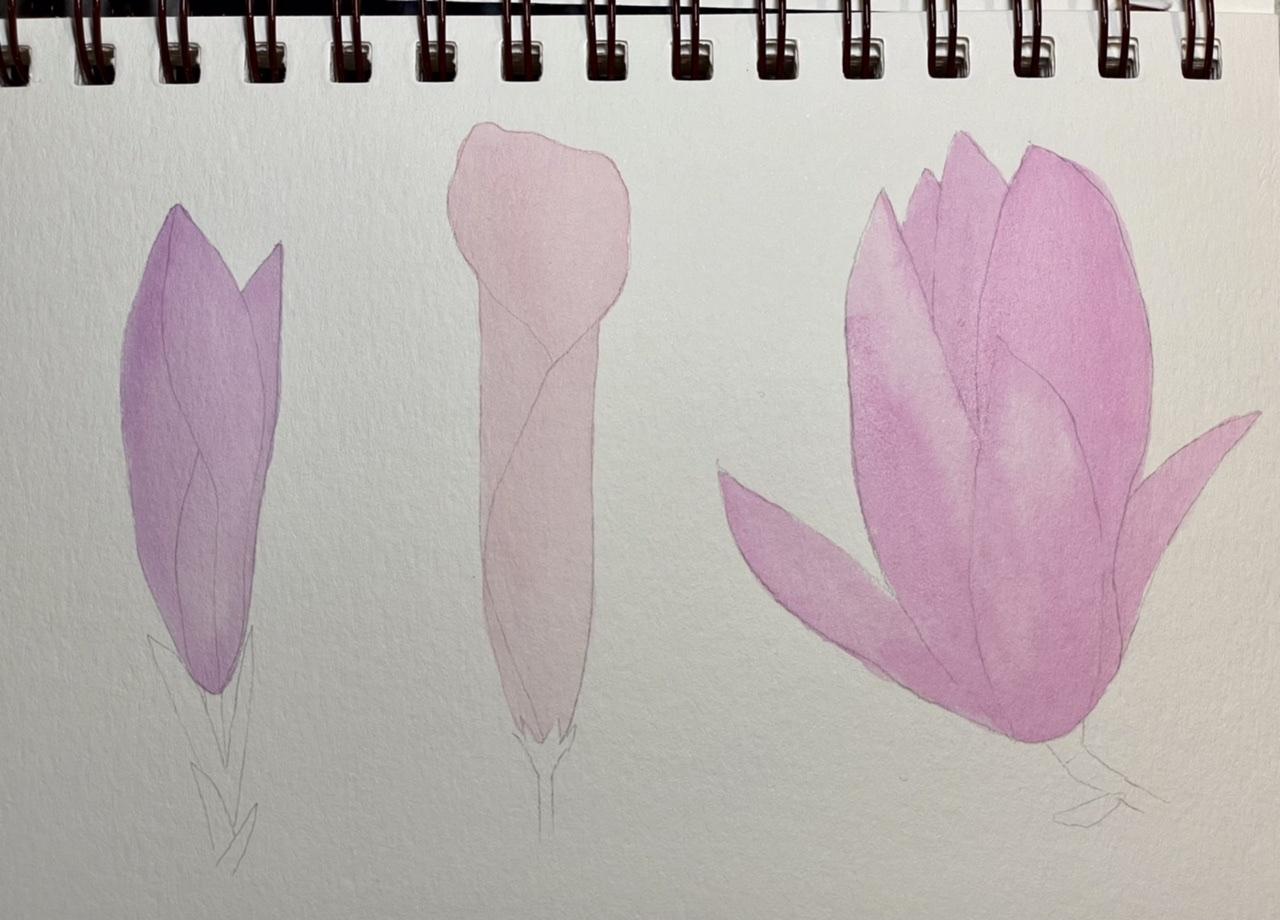 Flowers with depth - image 3 - student project