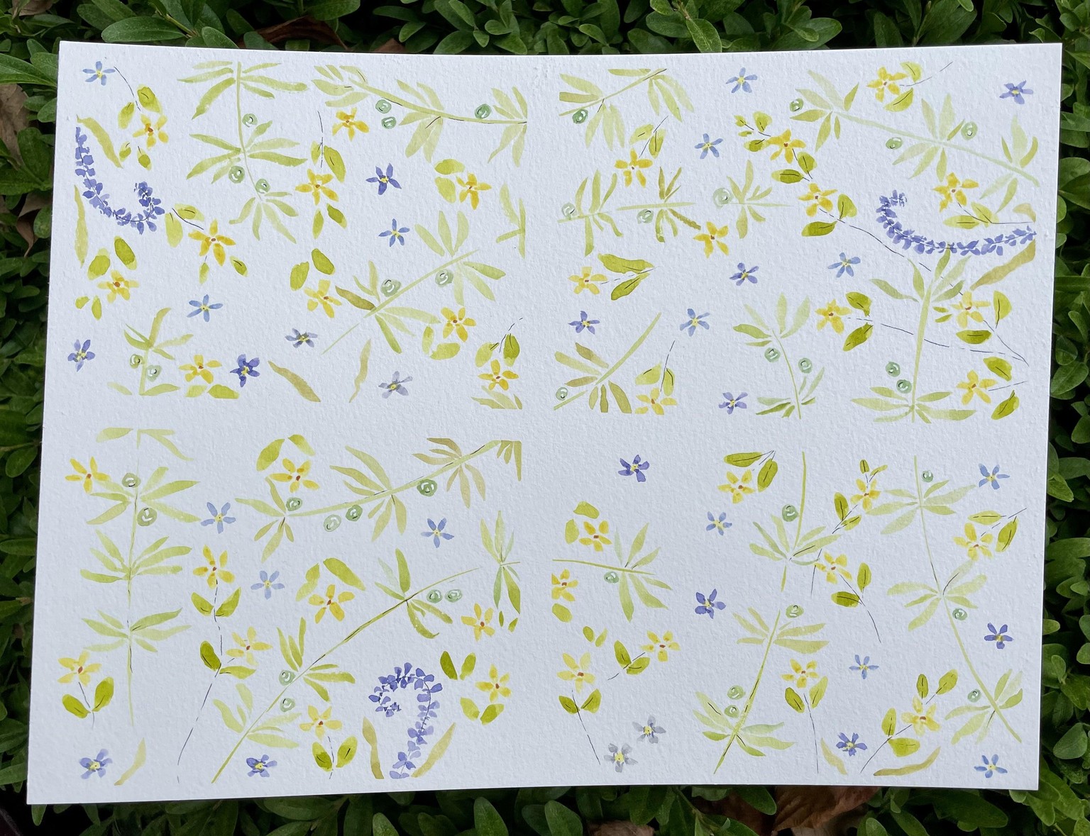 Watercolor Scottish Wildflowers - image 5 - student project