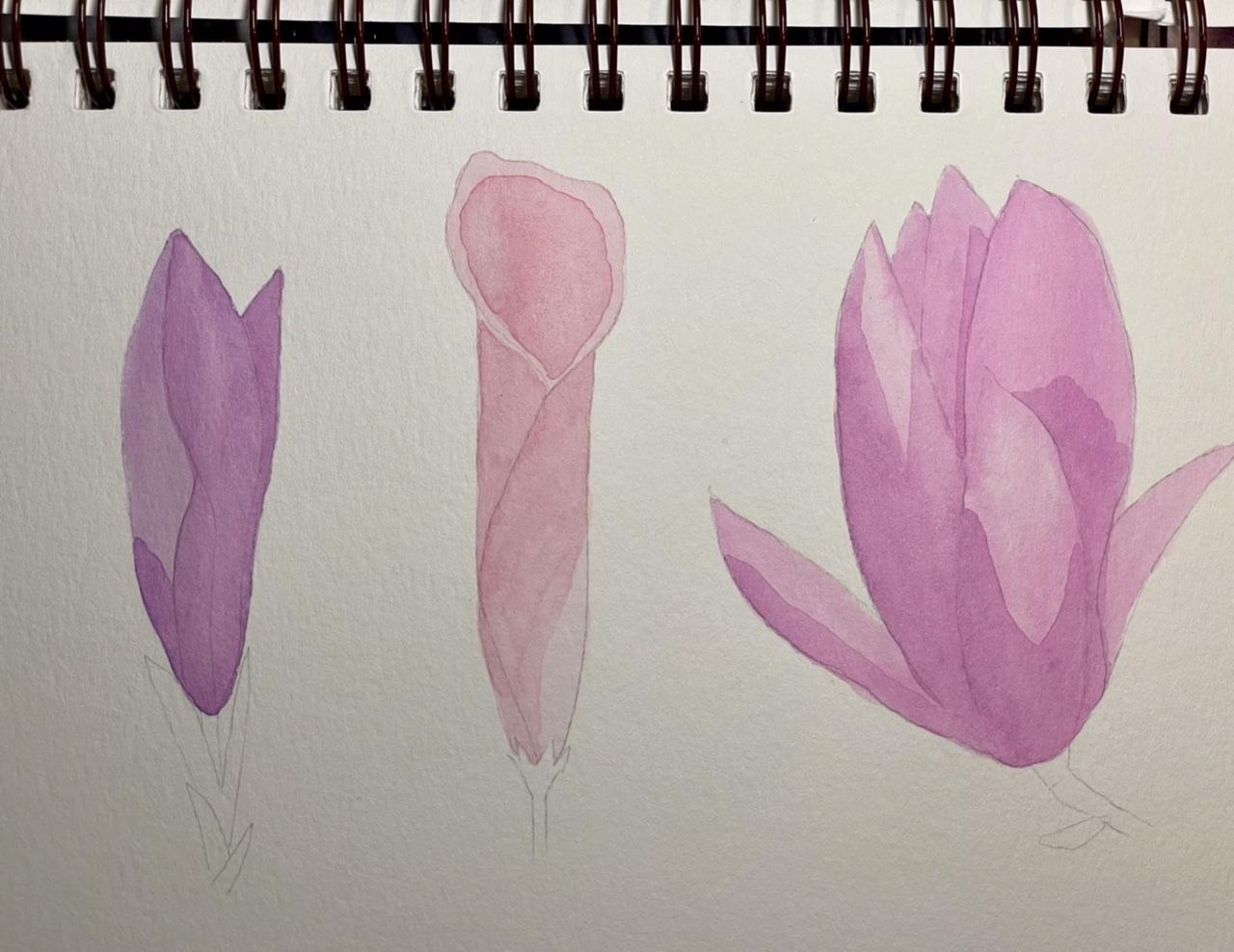 Flowers with depth - image 4 - student project