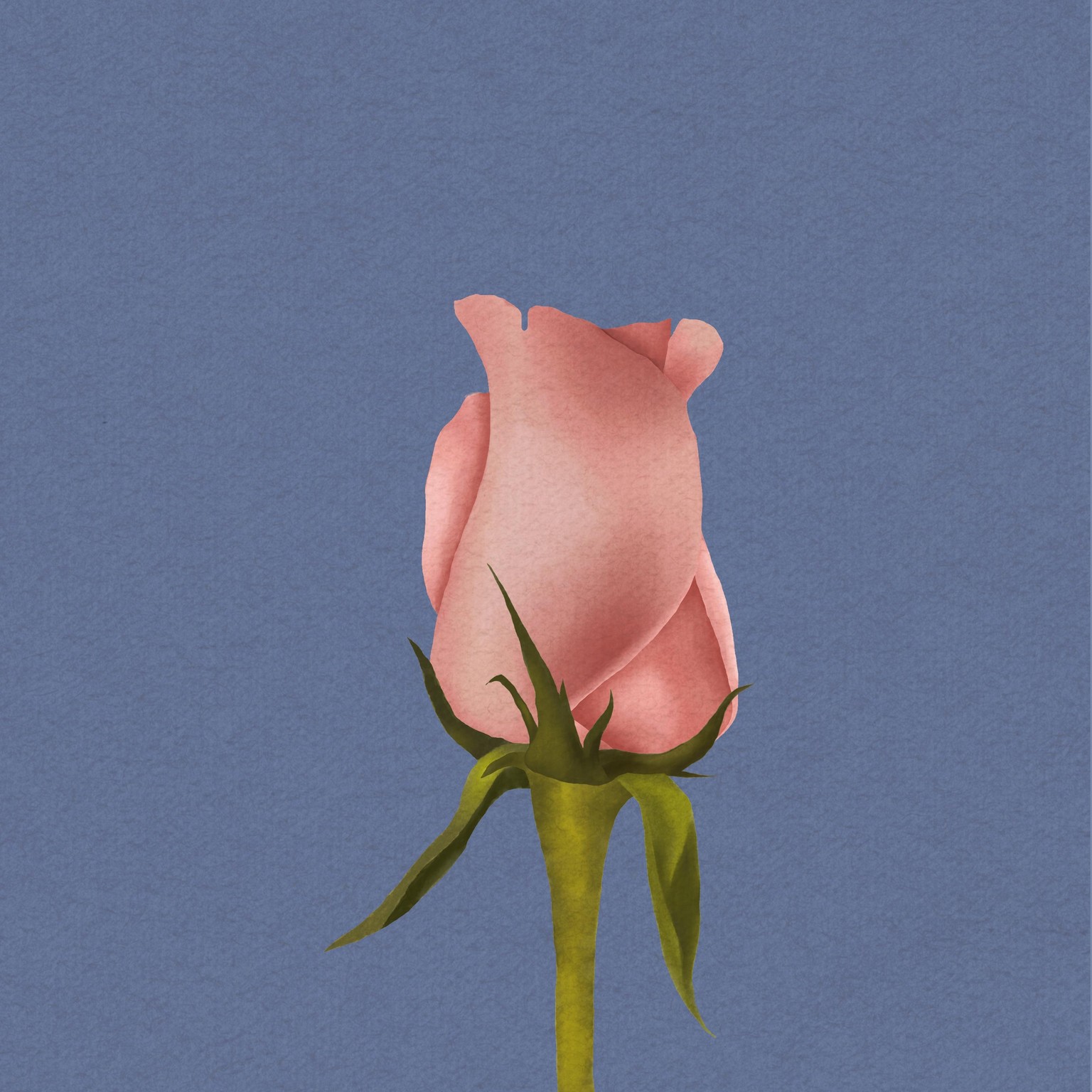 Watercolors in Procreate - image 2 - student project