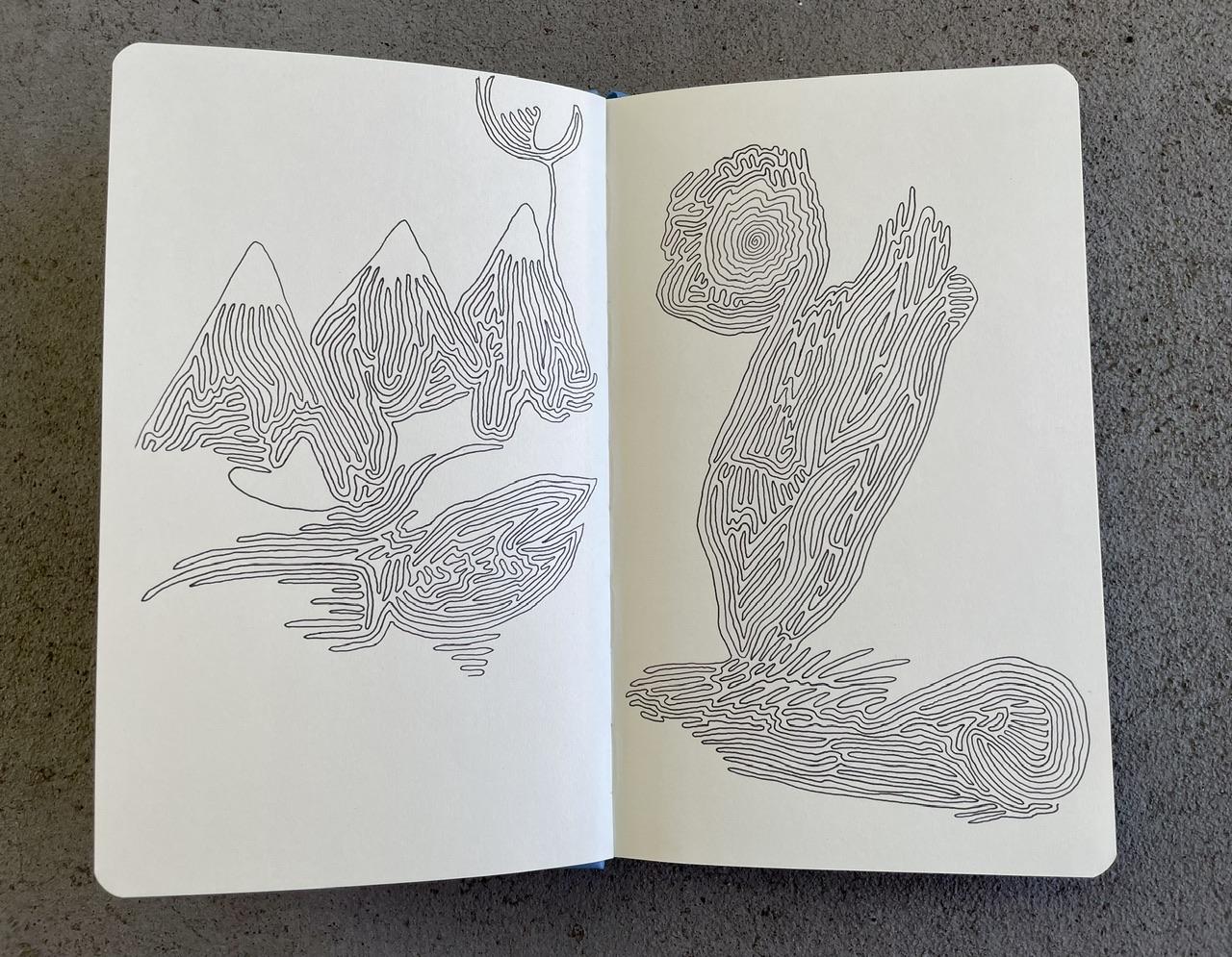 Continuous Line Drawings - image 4 - student project