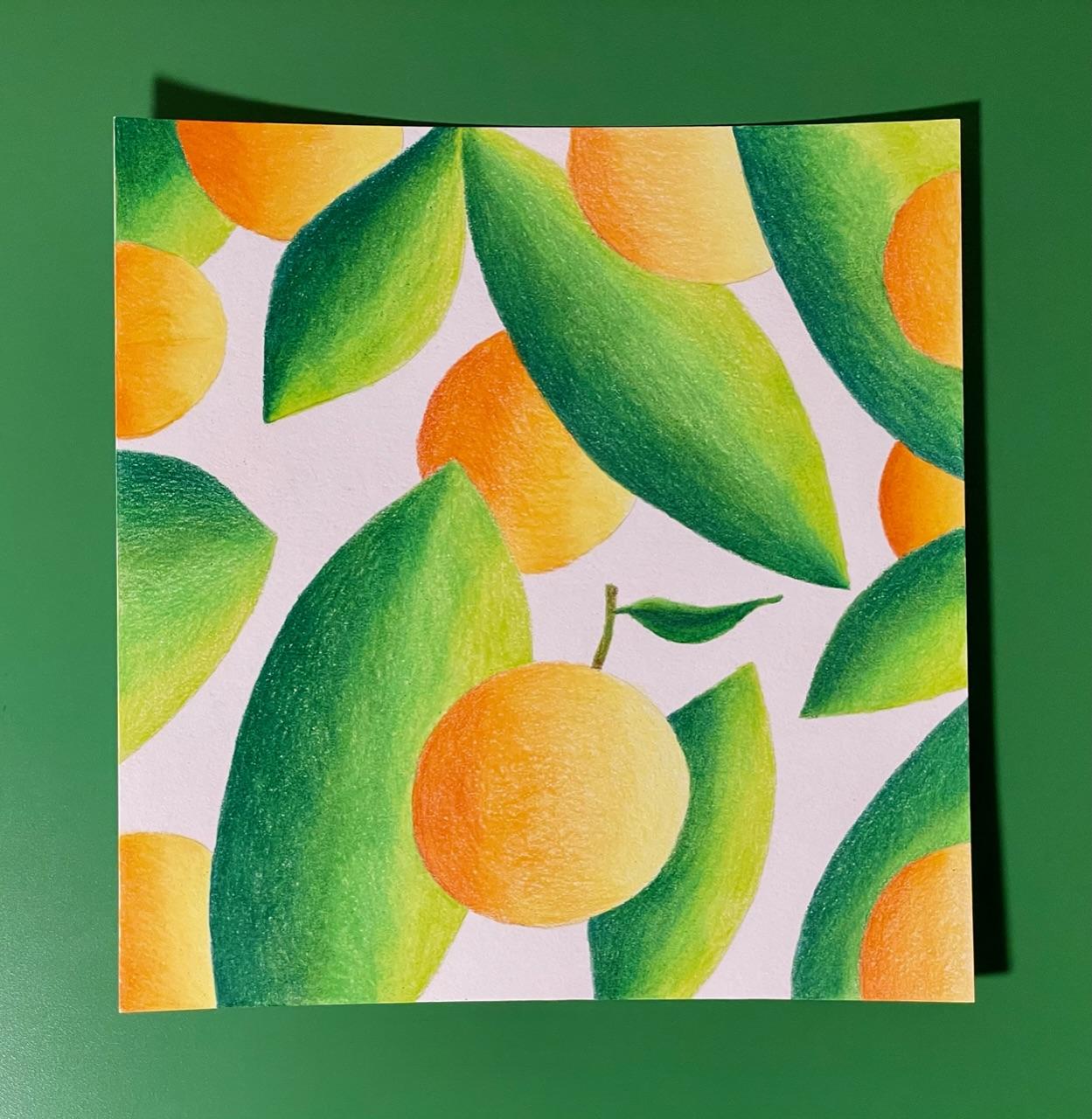 Colored pencil oranges - image 1 - student project