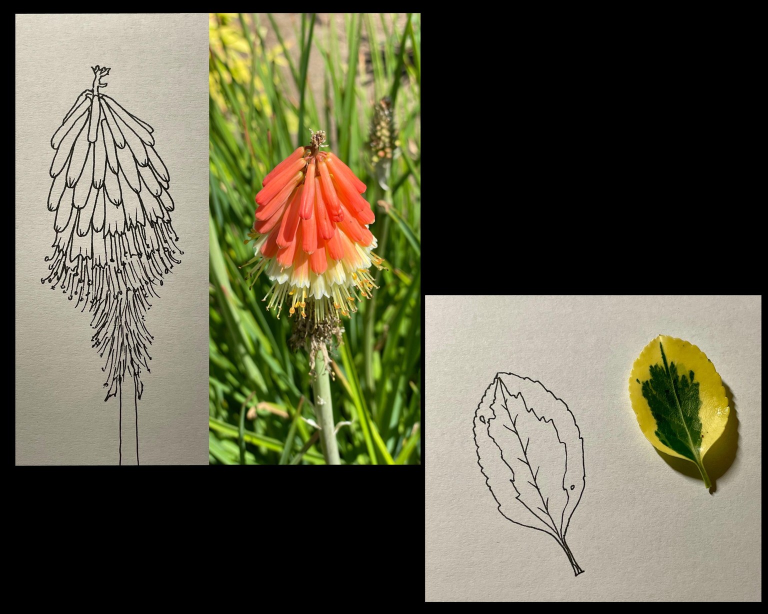 Summertime sketchbook ideas - image 5 - student project