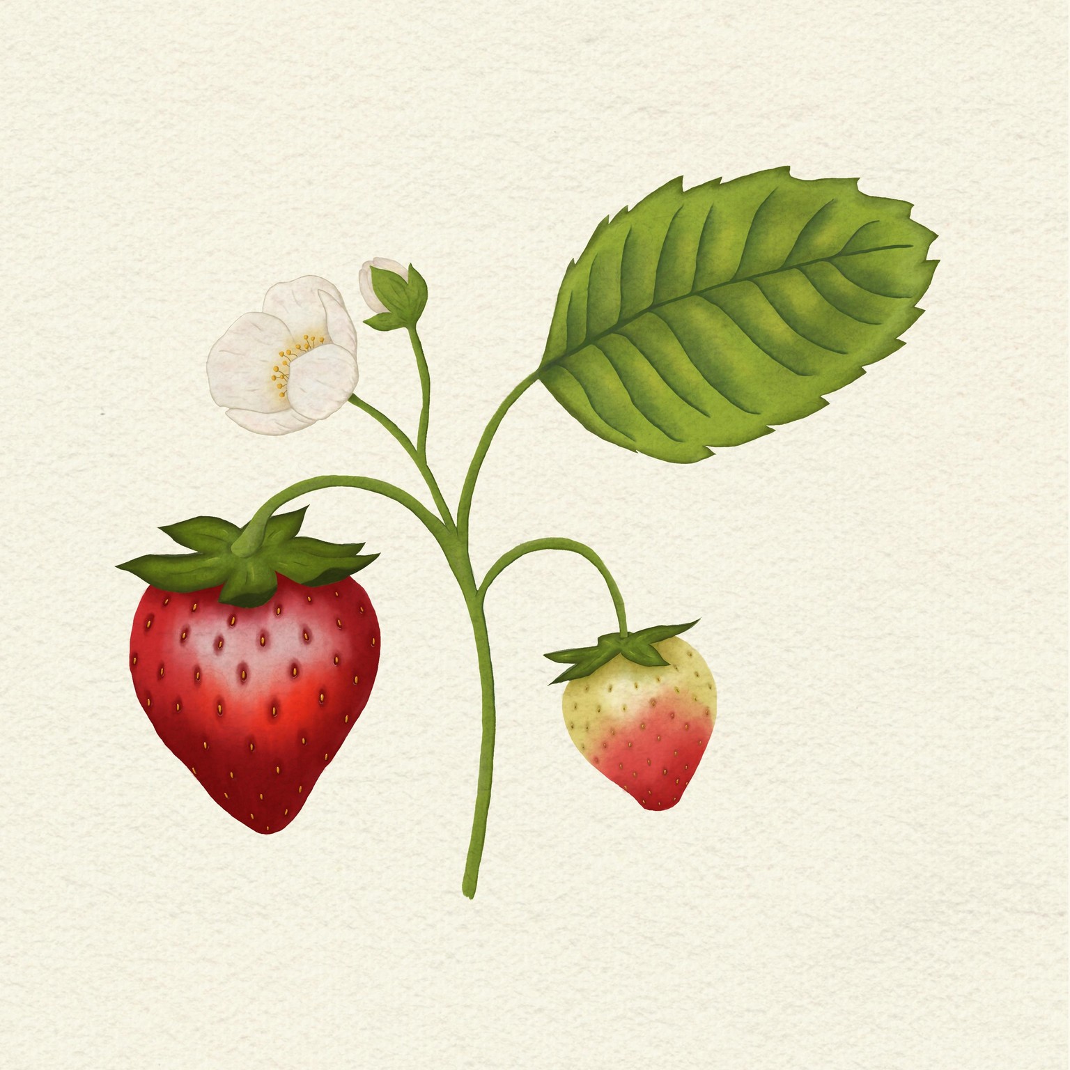 Watercolors in Procreate - image 1 - student project