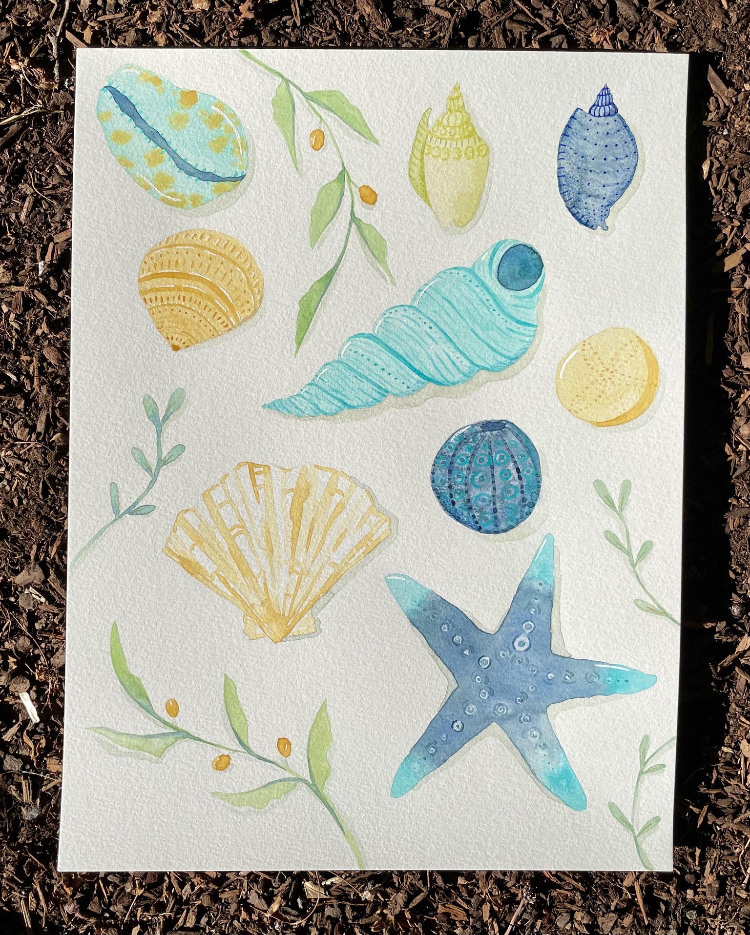 Watercolor seashells - image 2 - student project