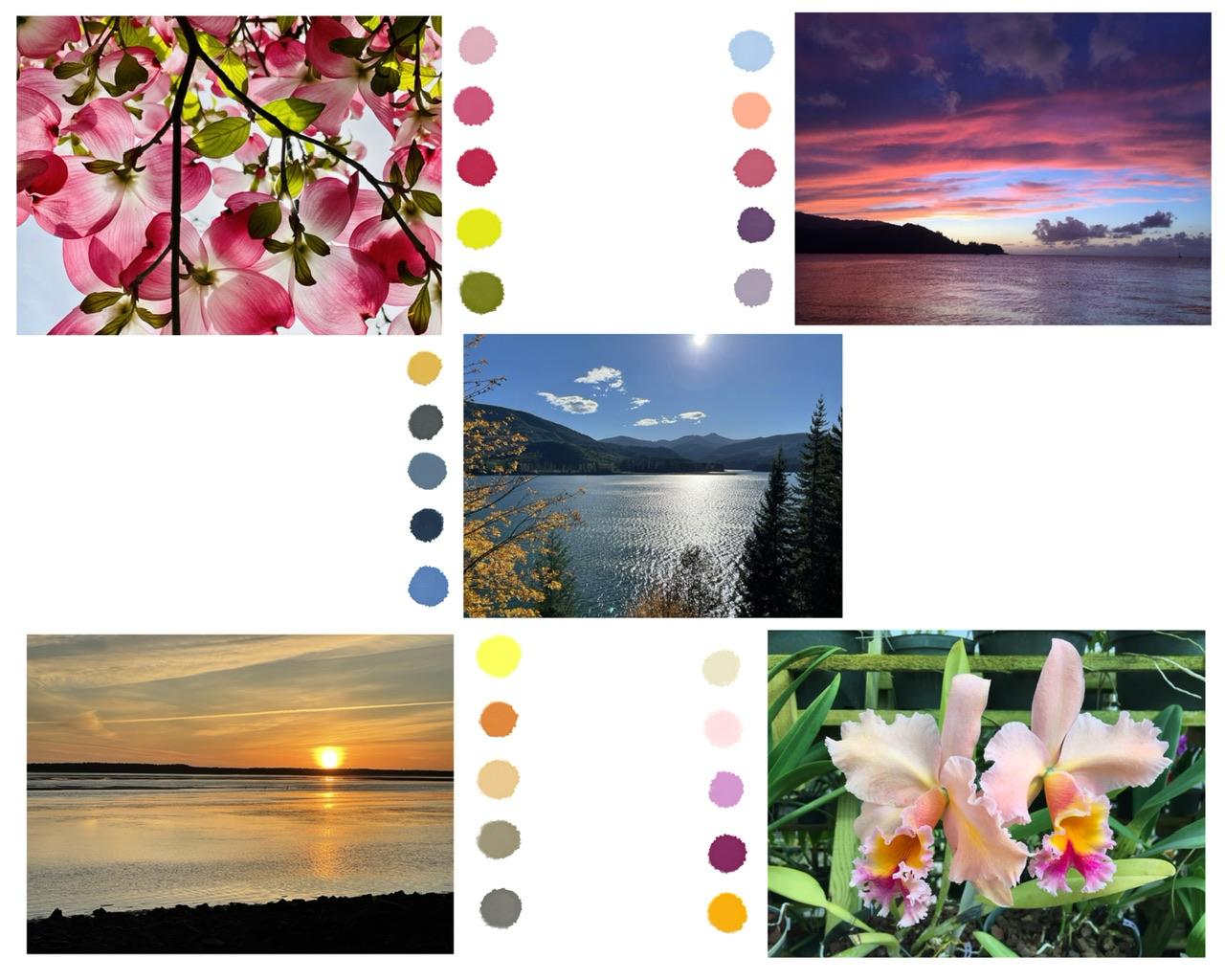 Art of color - image 1 - student project