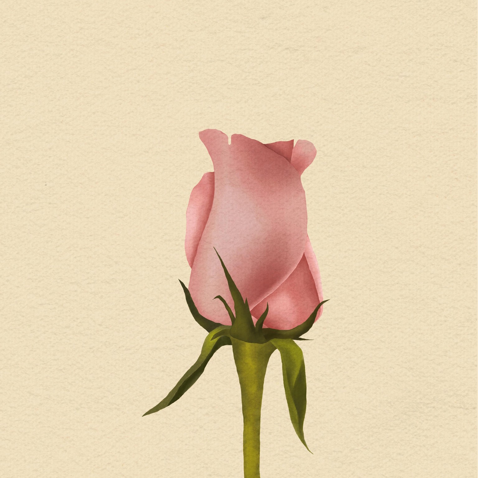 Watercolors in Procreate - image 4 - student project