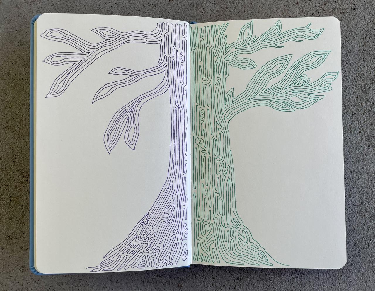 Continuous Line Drawings - image 3 - student project