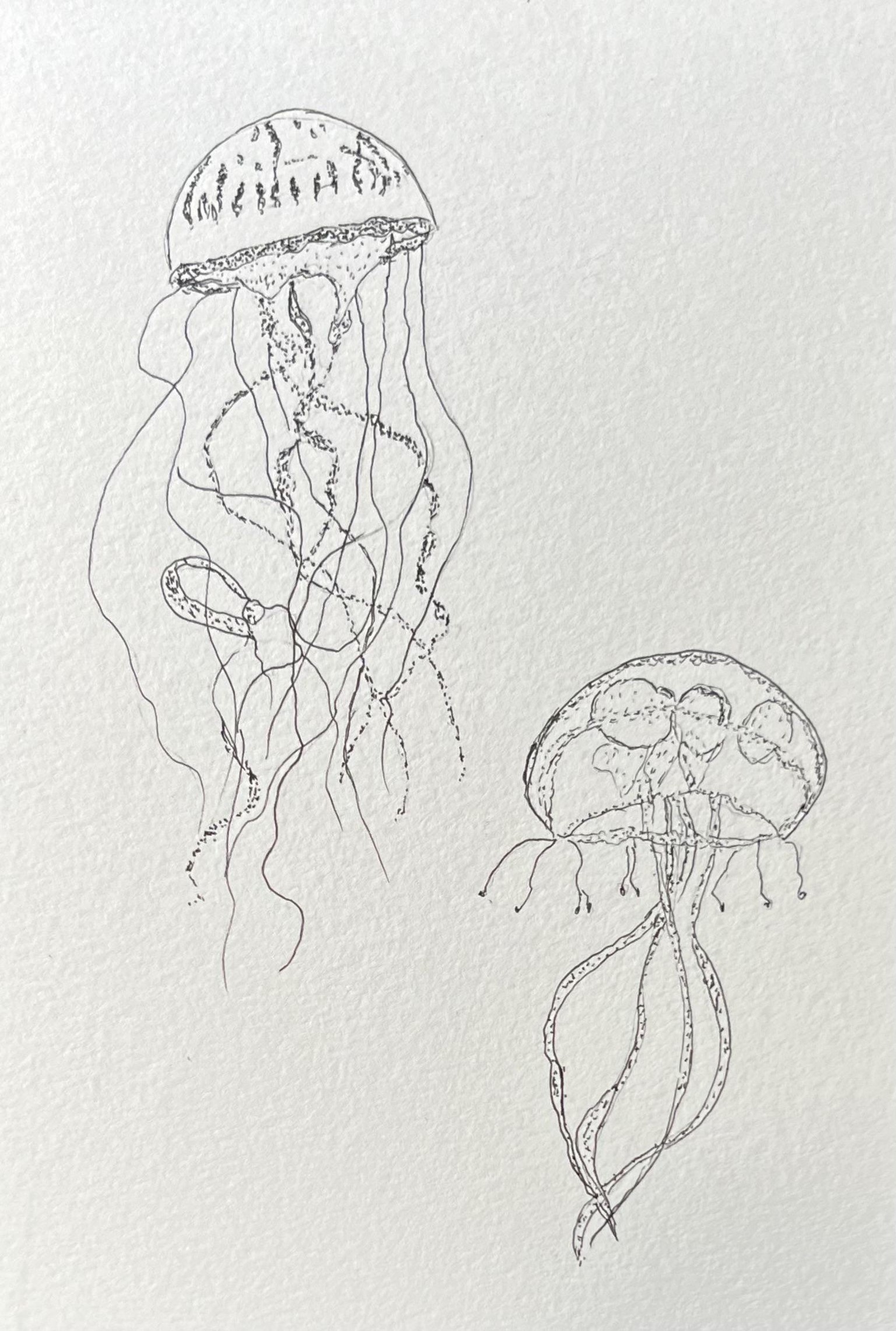 Jelly fish - image 2 - student project