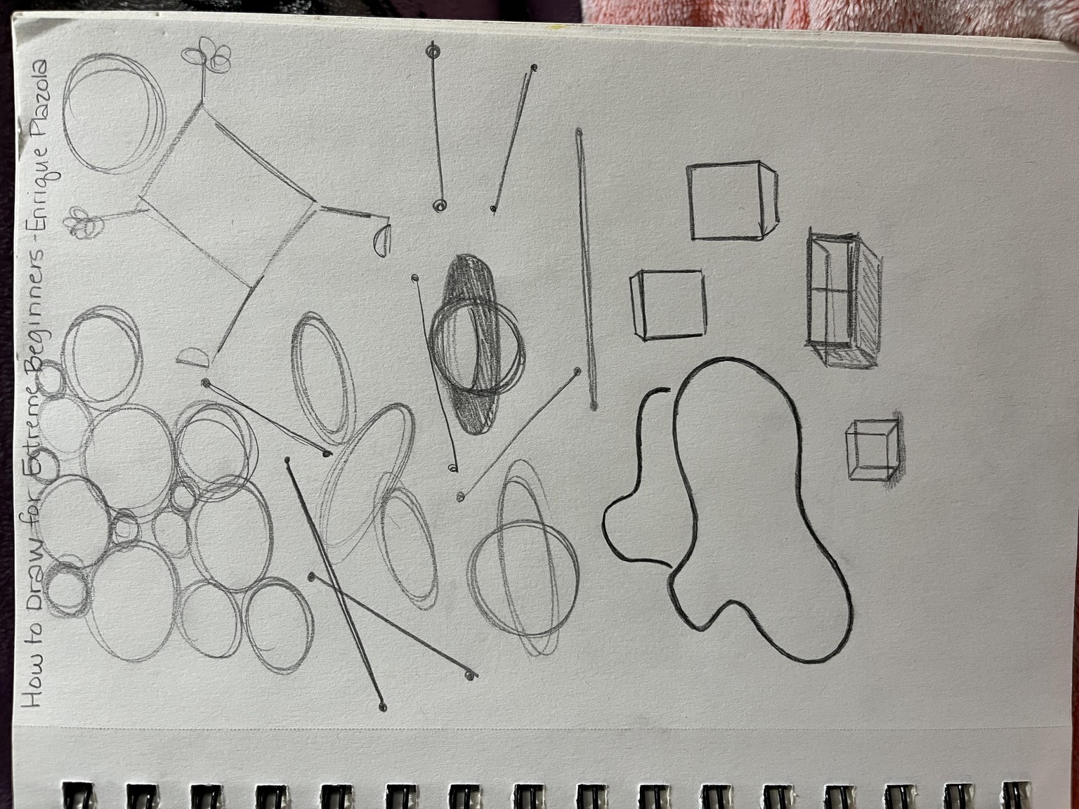 My Exercise Page - image 1 - student project