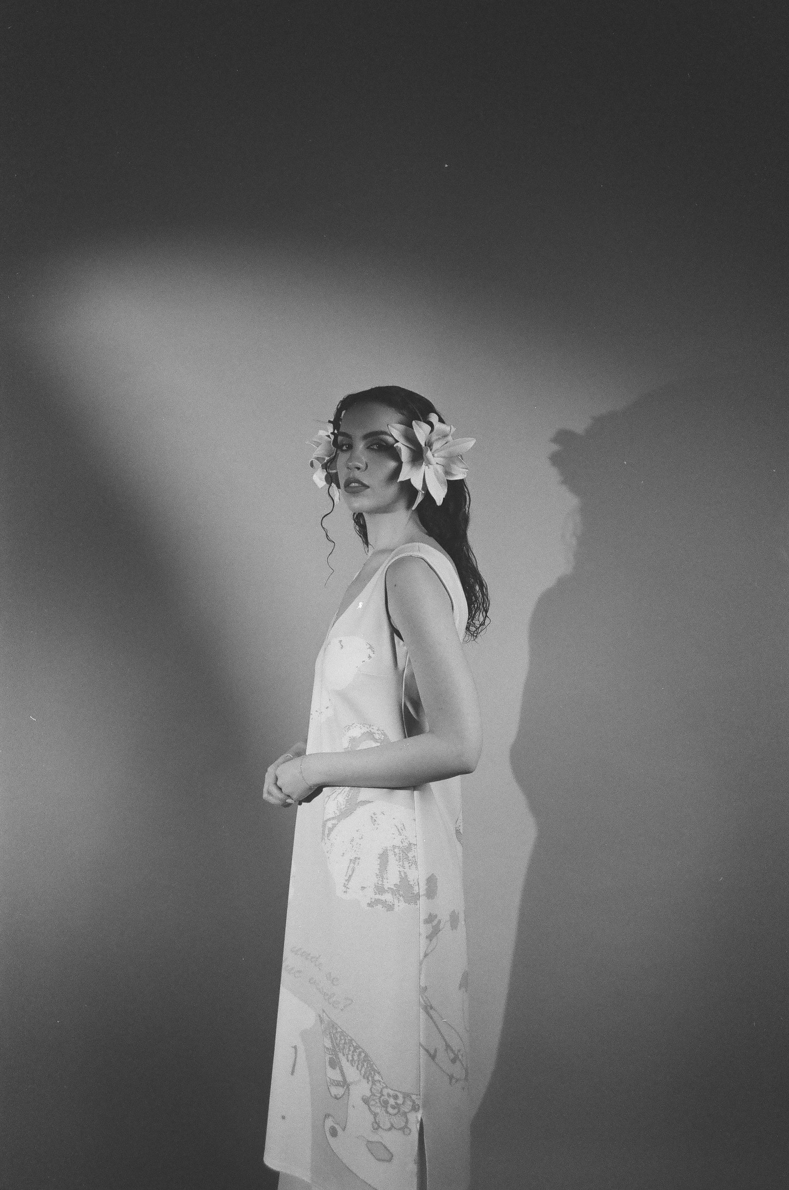 Ephemeral Dreams - image 1 - student project