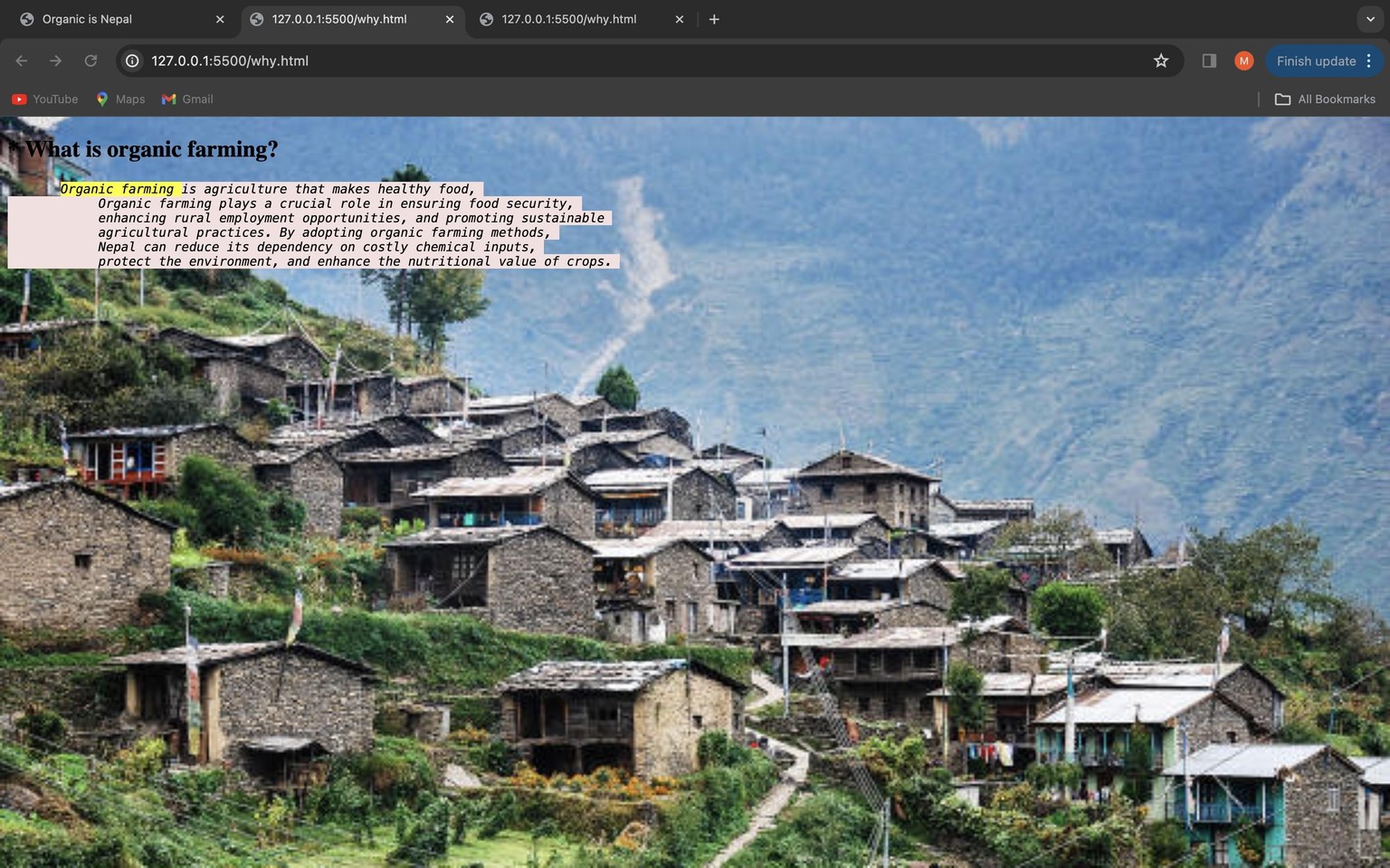 Organic is Nepal - image 4 - student project