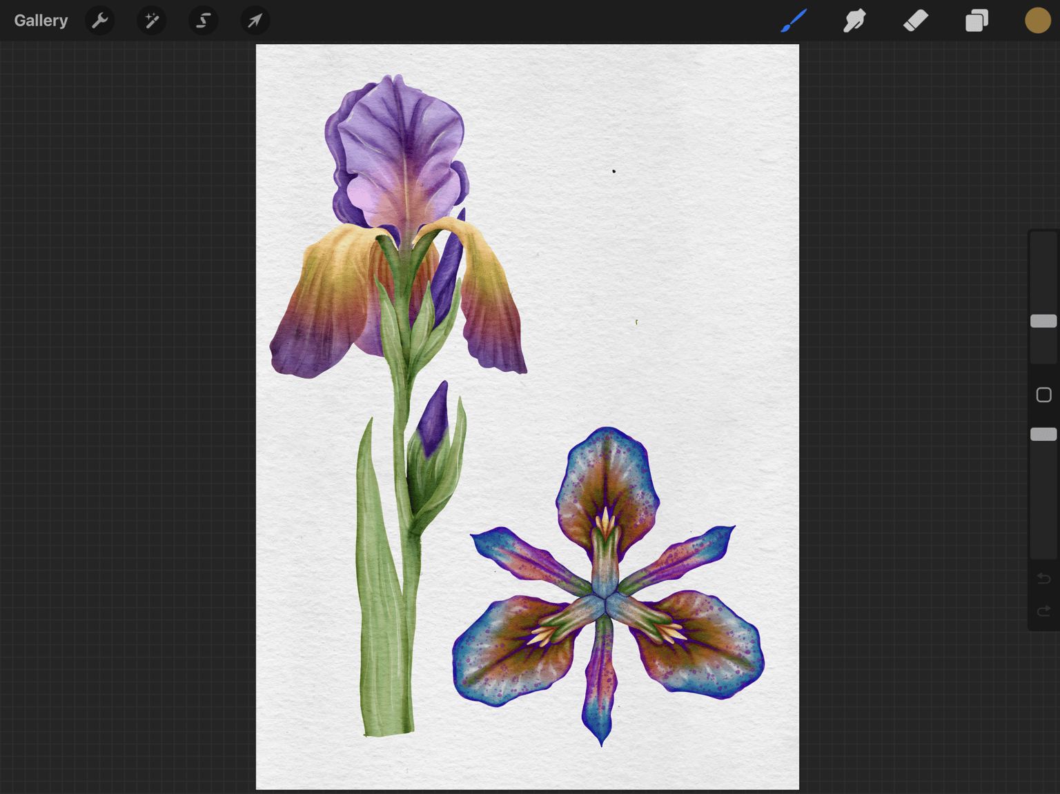 Watercolor techniques - image 2 - student project