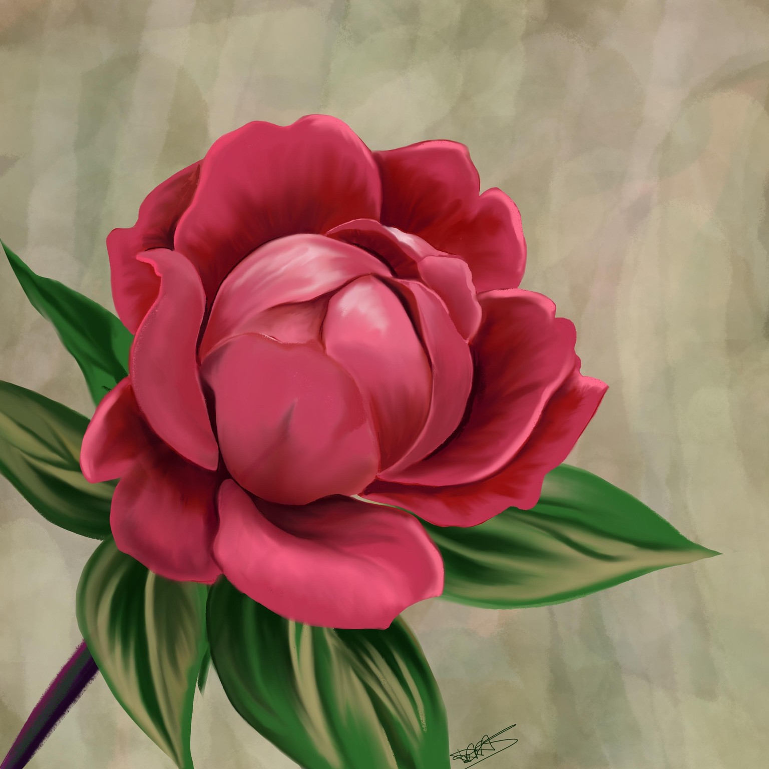 Peonie Flower - image 1 - student project
