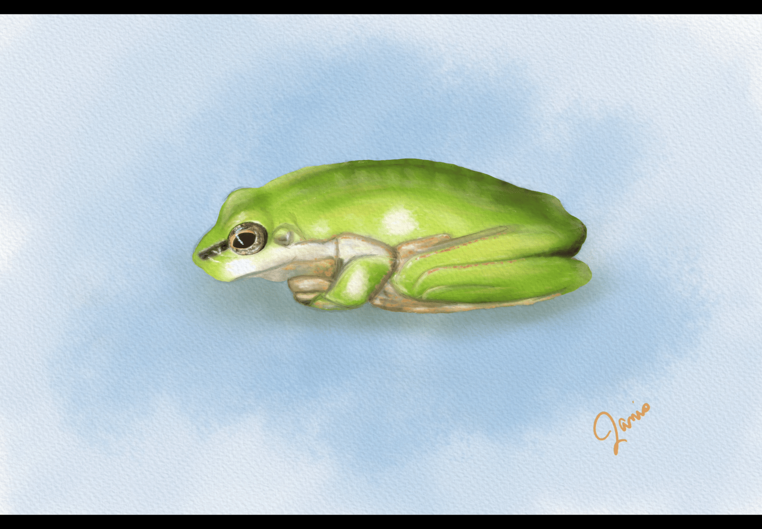 Watercolor Masterclass - image 2 - student project