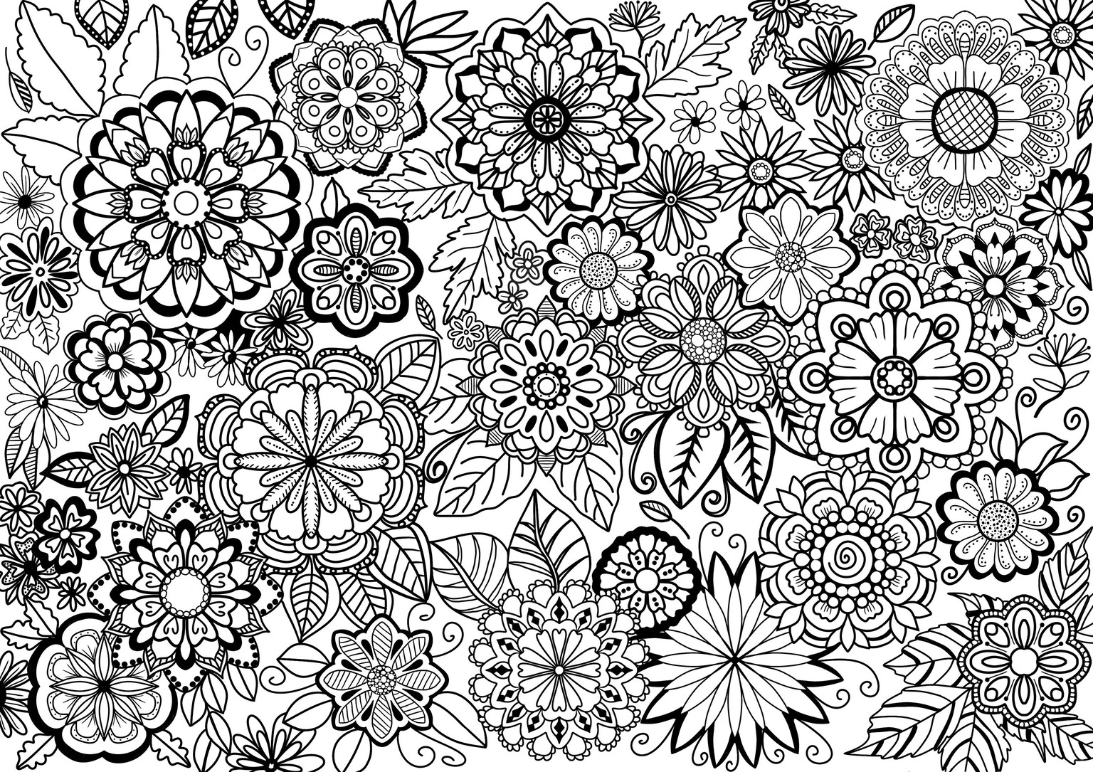 Flowers - image 1 - student project