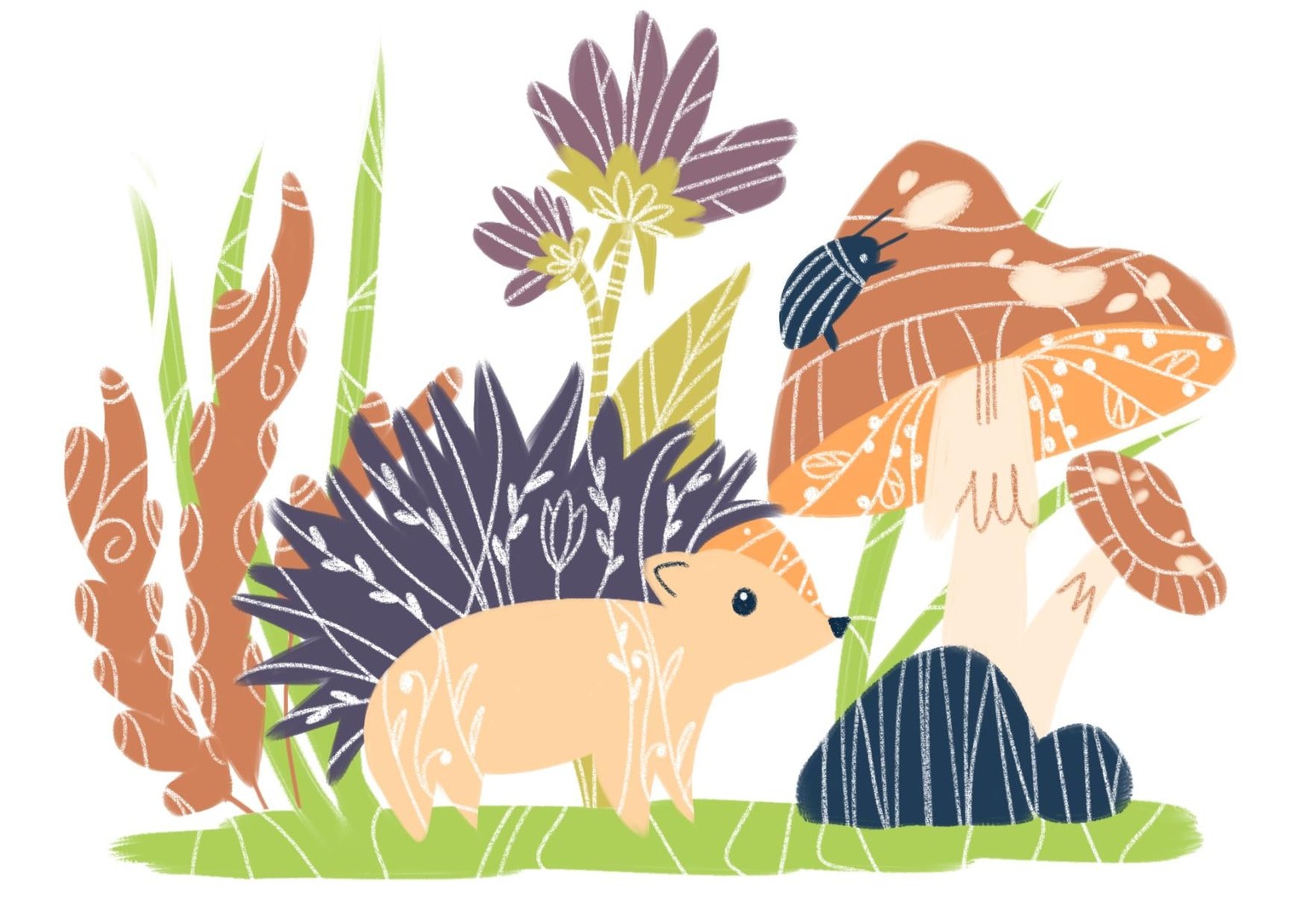 Hedgehog illustration in 6 ways - image 5 - student project
