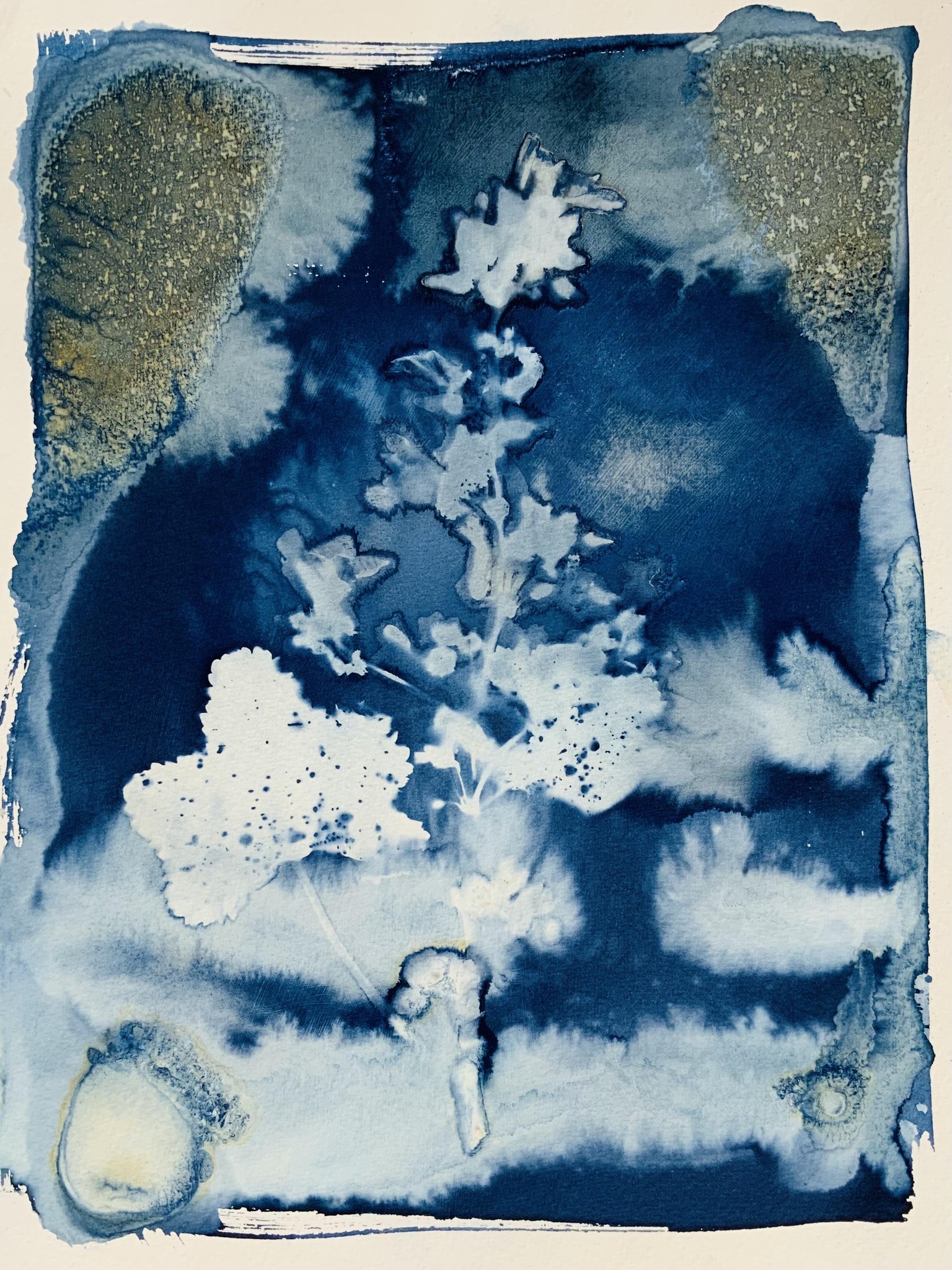 Wet cyanotype - image 6 - student project