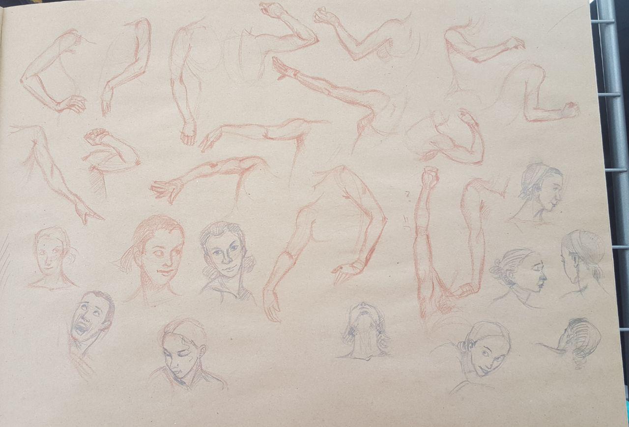Body parts practice - image 2 - student project