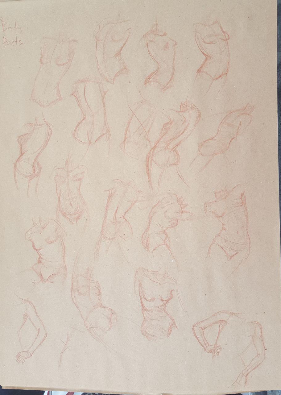 Body parts practice - image 1 - student project
