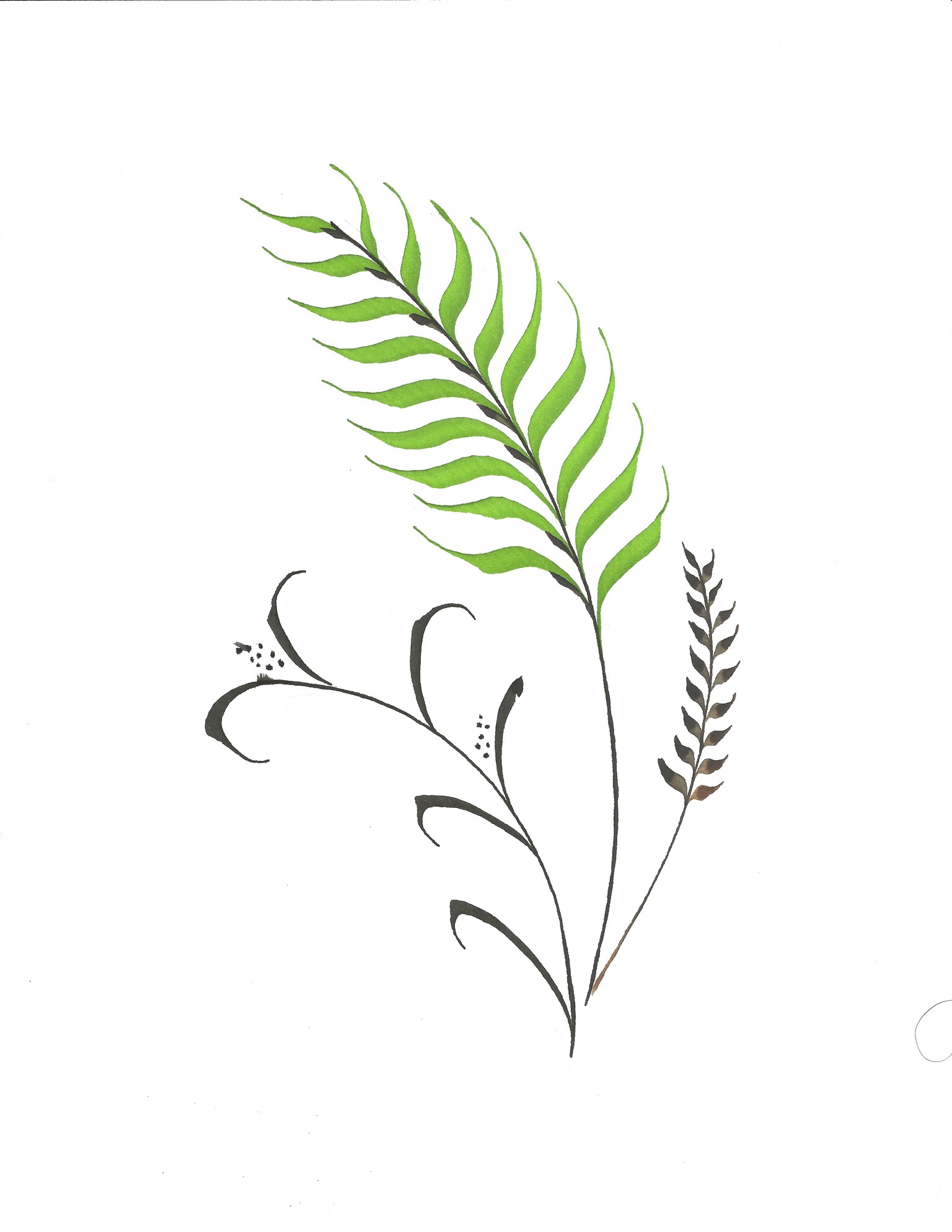 Field Clippings - image 1 - student project