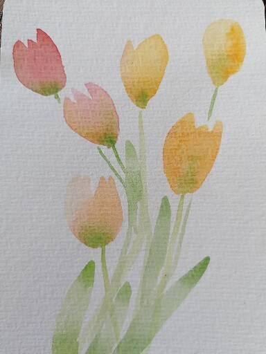 Tulpen - image 2 - student project