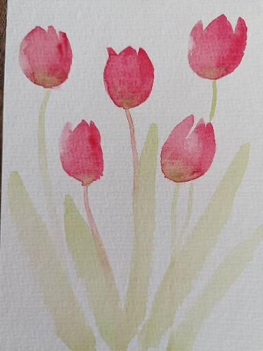 Tulpen - image 1 - student project