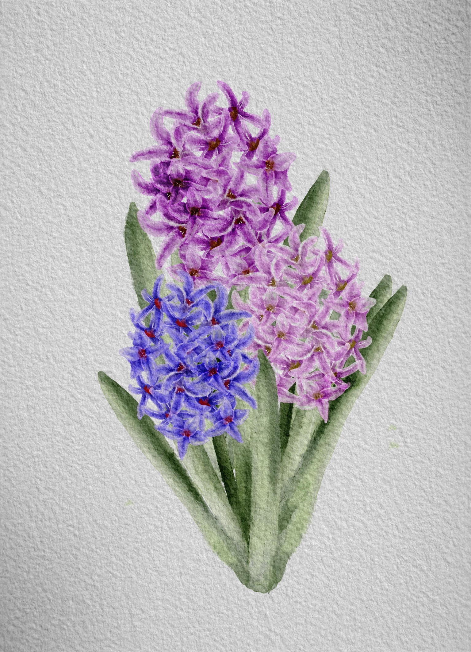 Watercolour florals - image 3 - student project