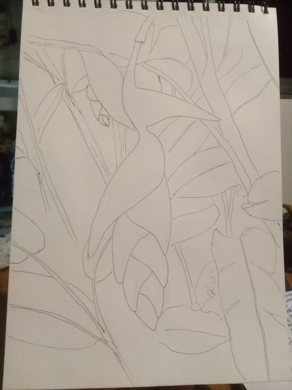 Tropical - image 2 - student project