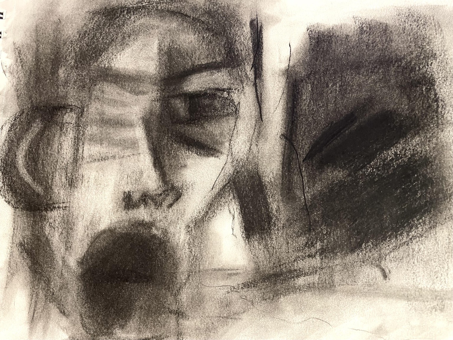Loose Sketching ( with charcoal ) All Class Works - image 1 - student project
