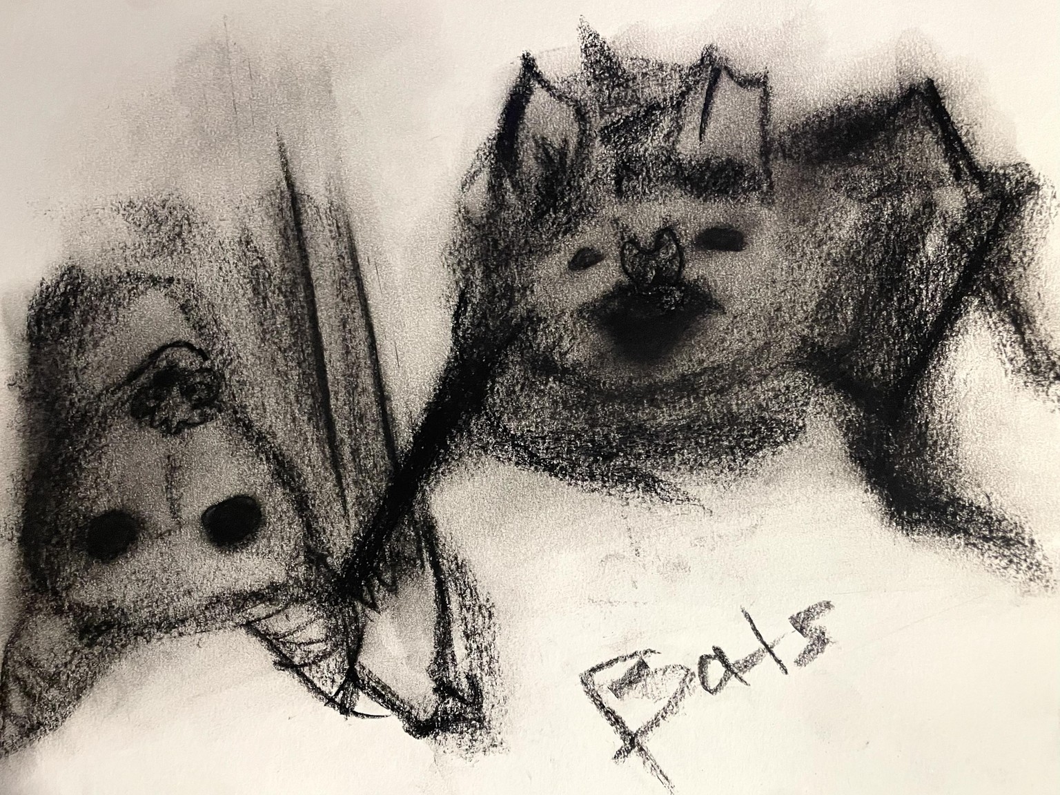 Loose Sketching ( with charcoal ) All Class Works - image 6 - student project