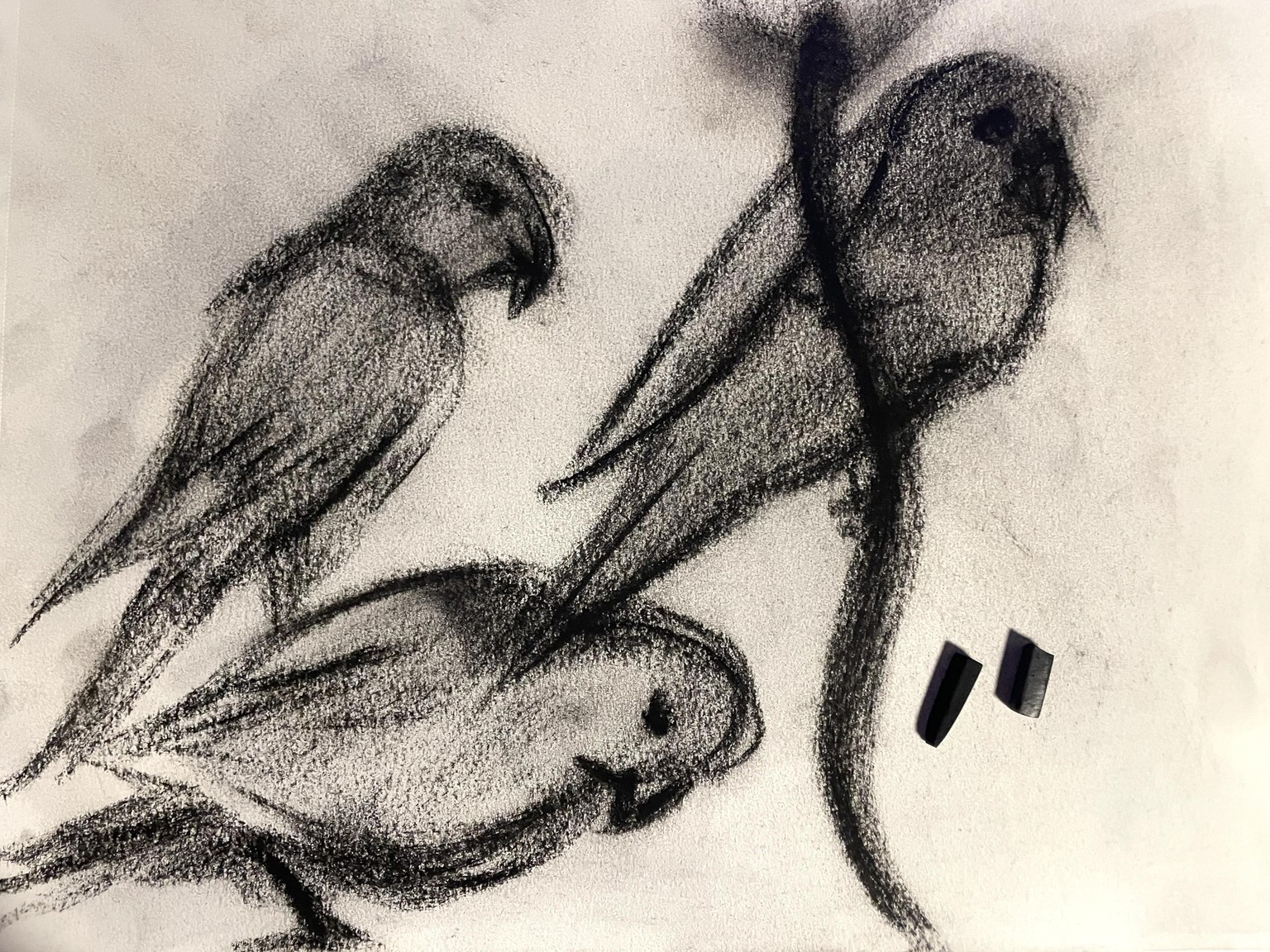 Loose Sketching ( with charcoal ) All Class Works - image 3 - student project