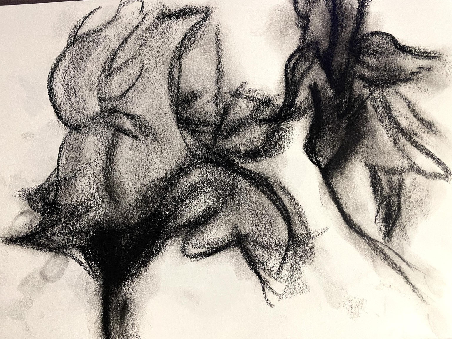 Loose Sketching ( with charcoal ) All Class Works - image 5 - student project