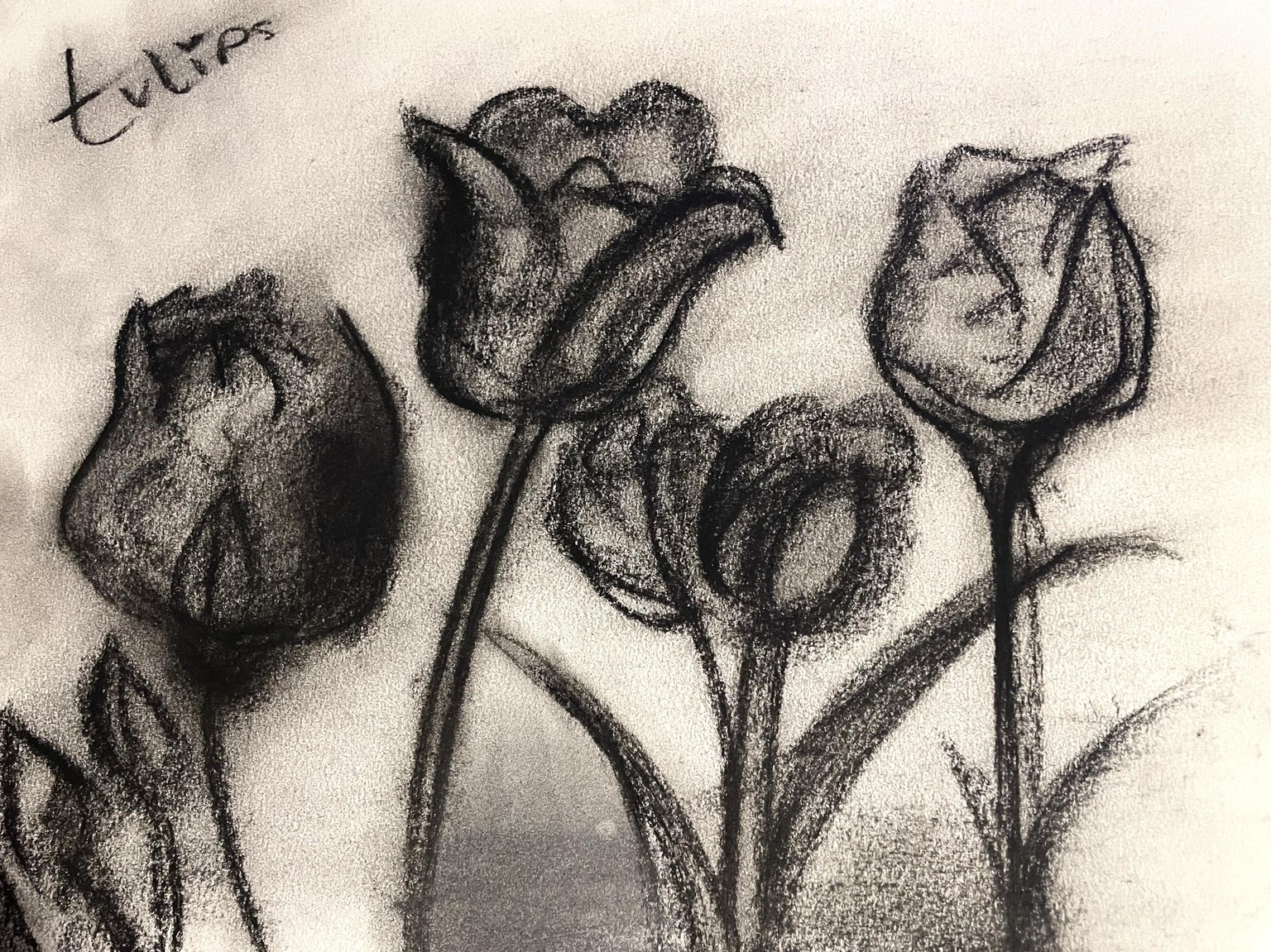 Loose Sketching ( with charcoal ) All Class Works - image 7 - student project