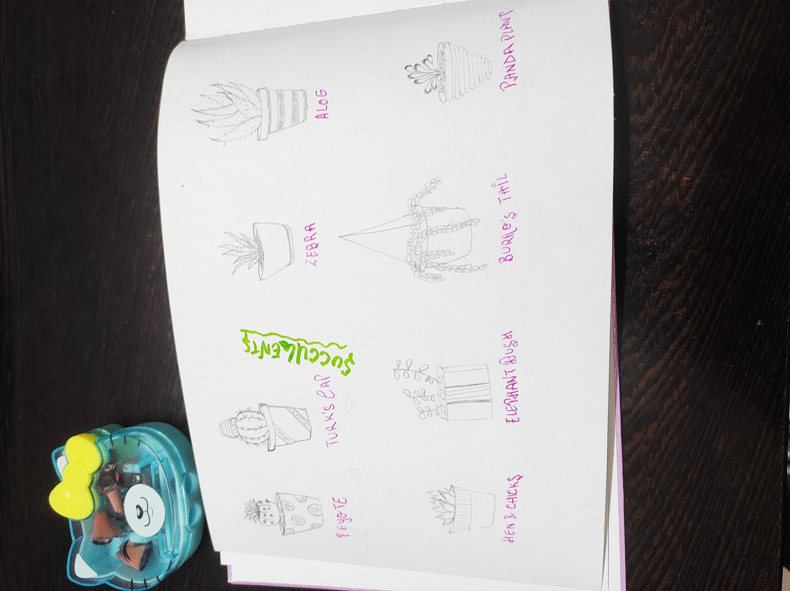 Cactus & Succulent - image 1 - student project