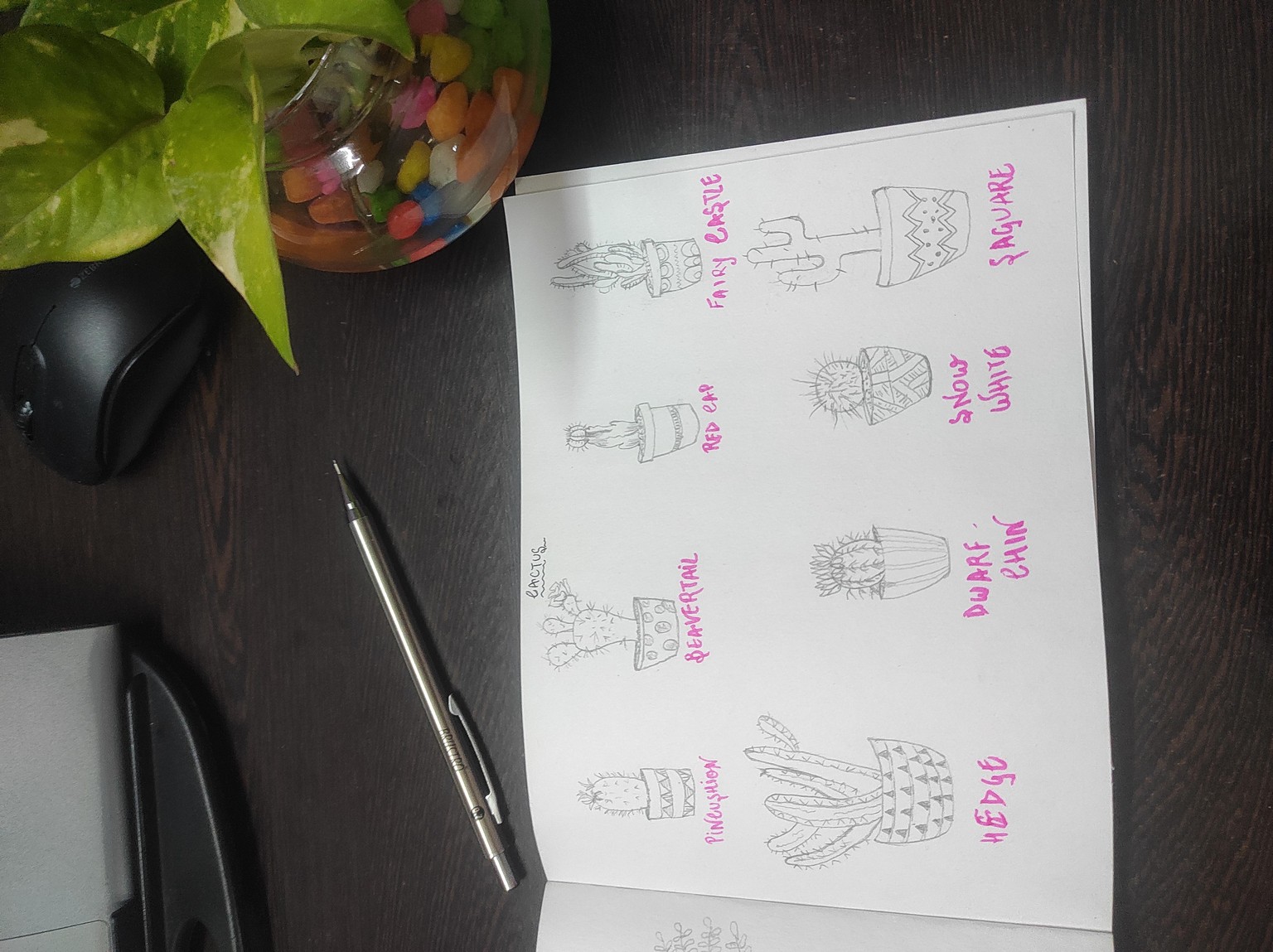 Cactus & Succulent - image 2 - student project