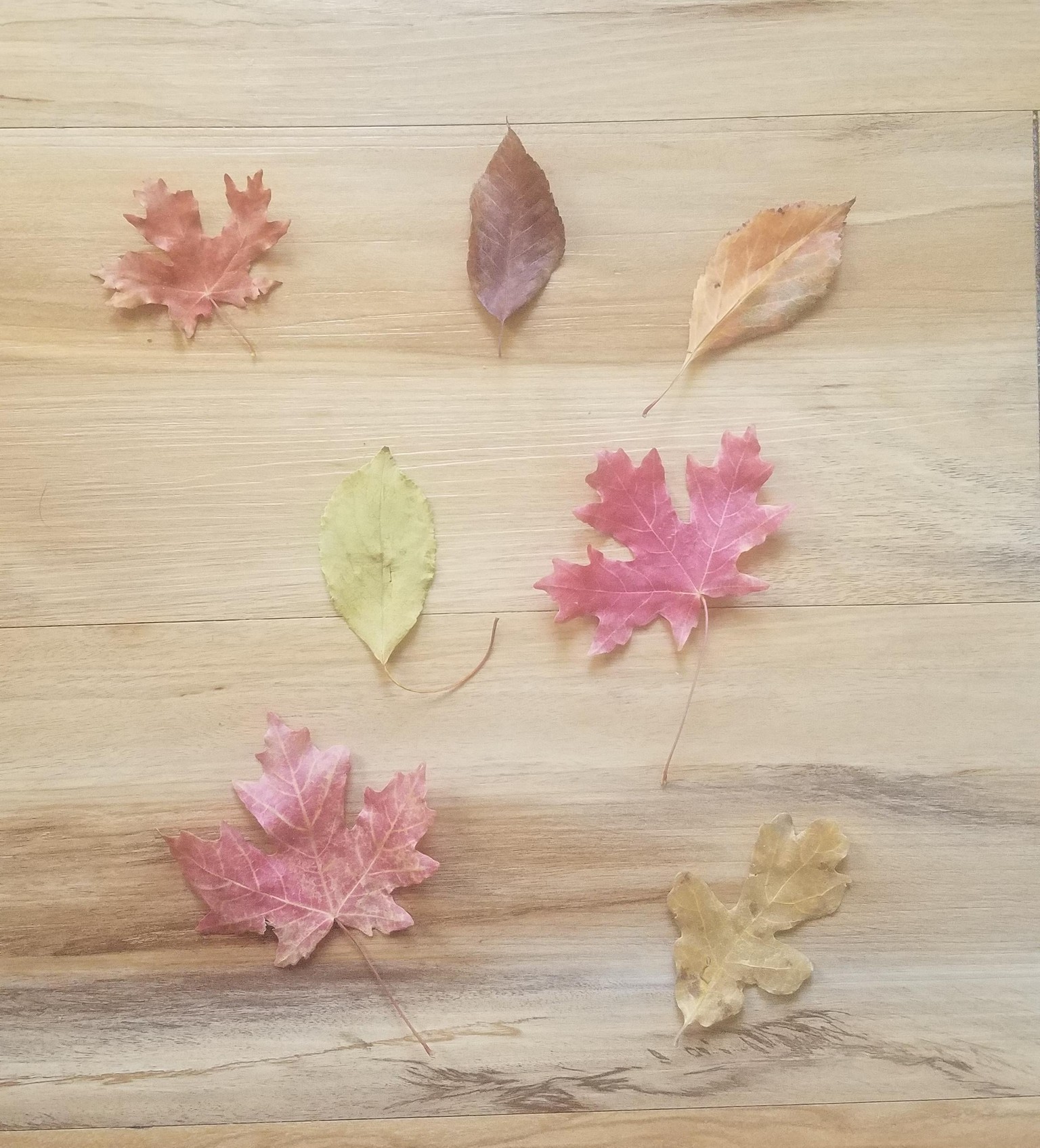 Everyday Outdoor Painting: 3 Simple Prompts to Get Started en Plein Air - image 1 - student project
