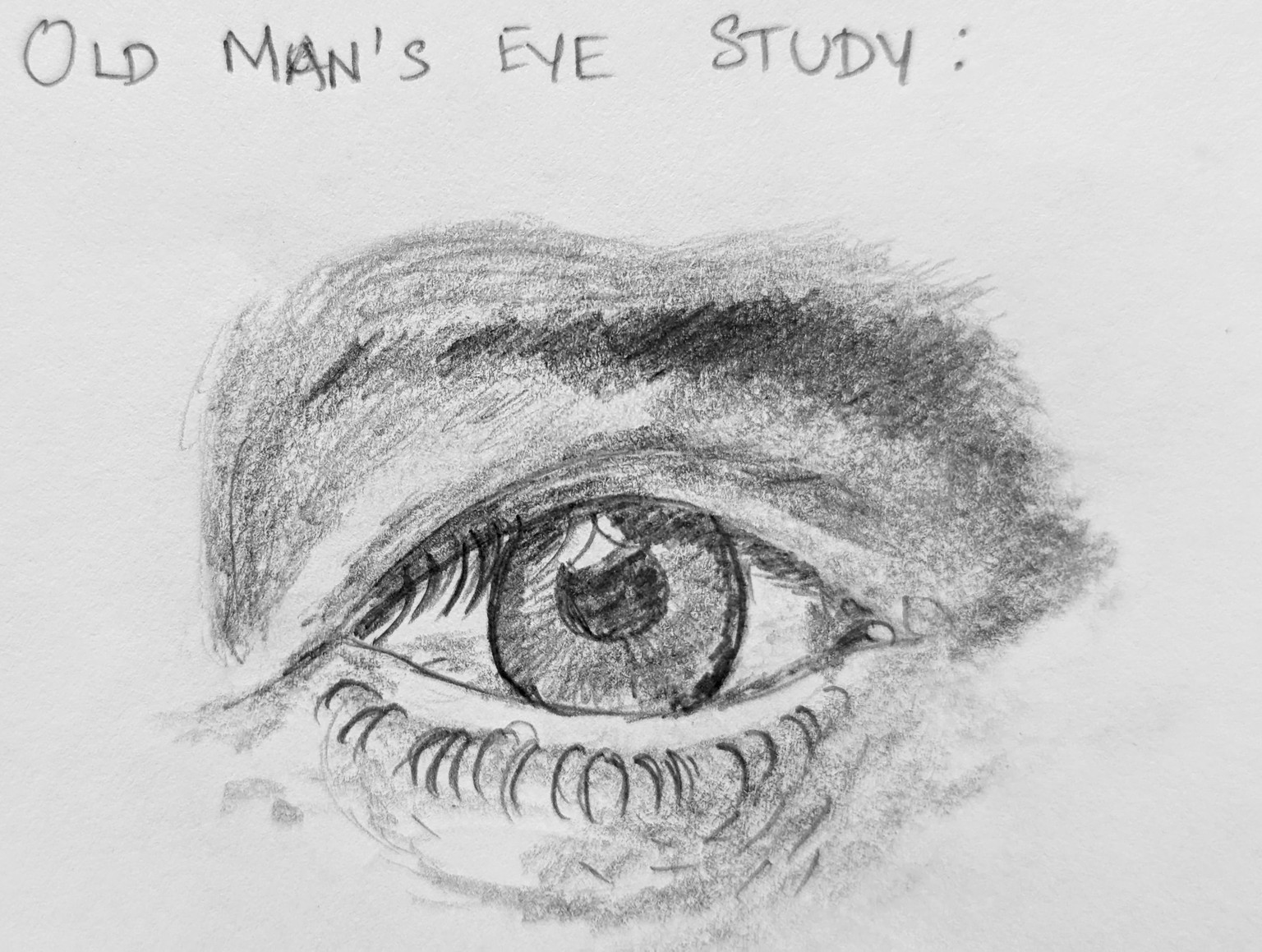 Drawing and shading Realistic eye - image 2 - student project